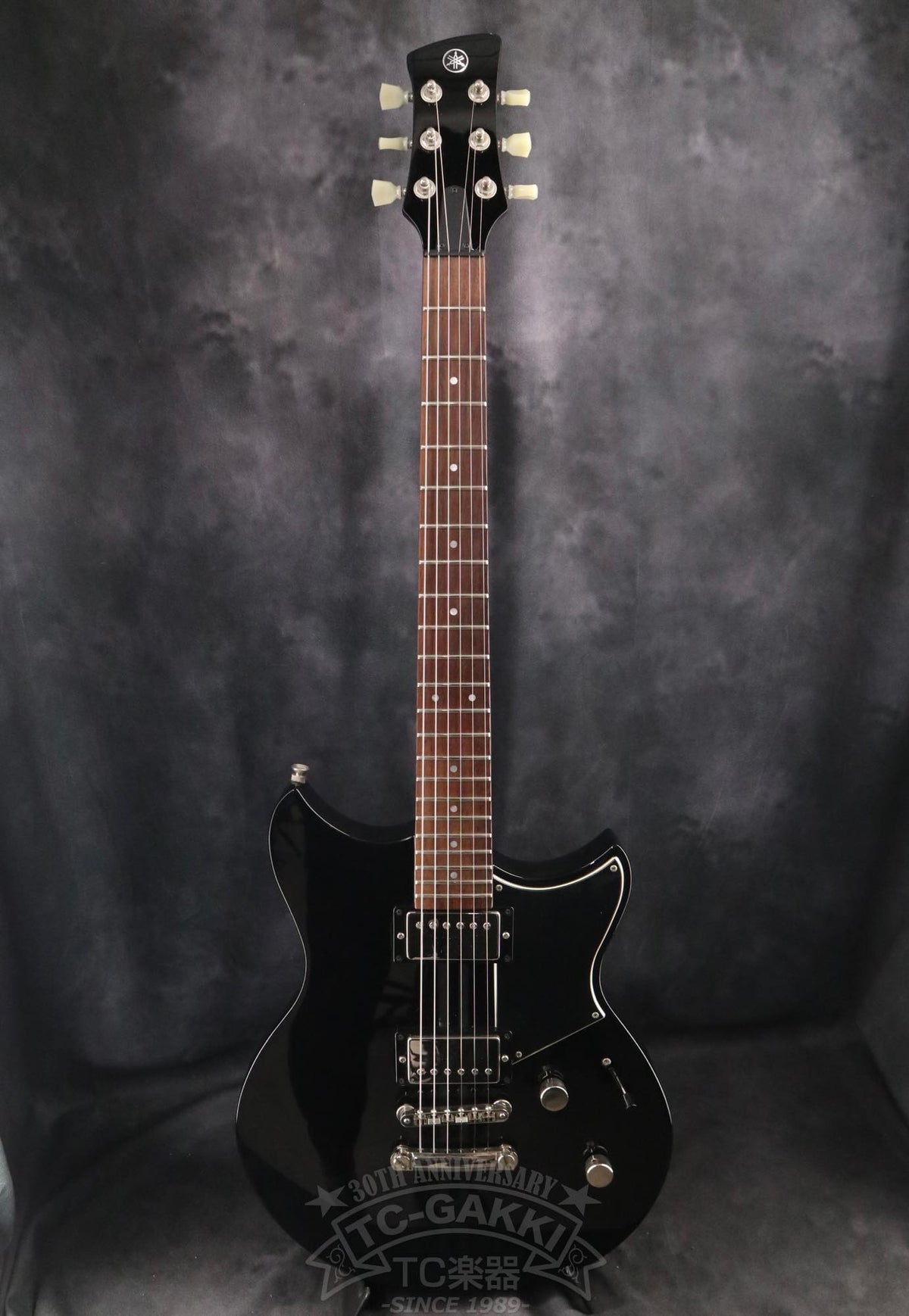 YAMAHA RSE20