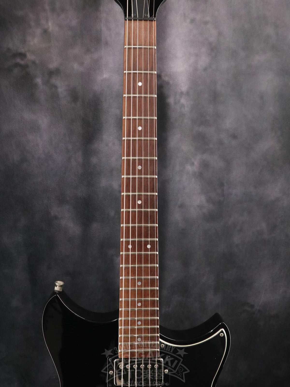 YAMAHA RSE20