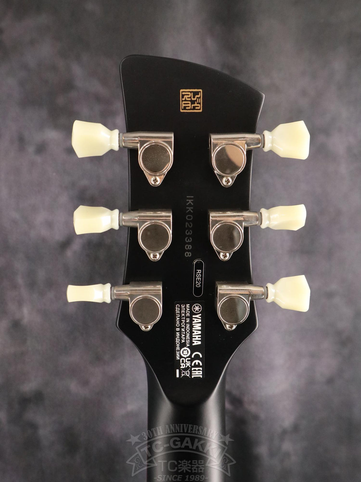 YAMAHA RSE20