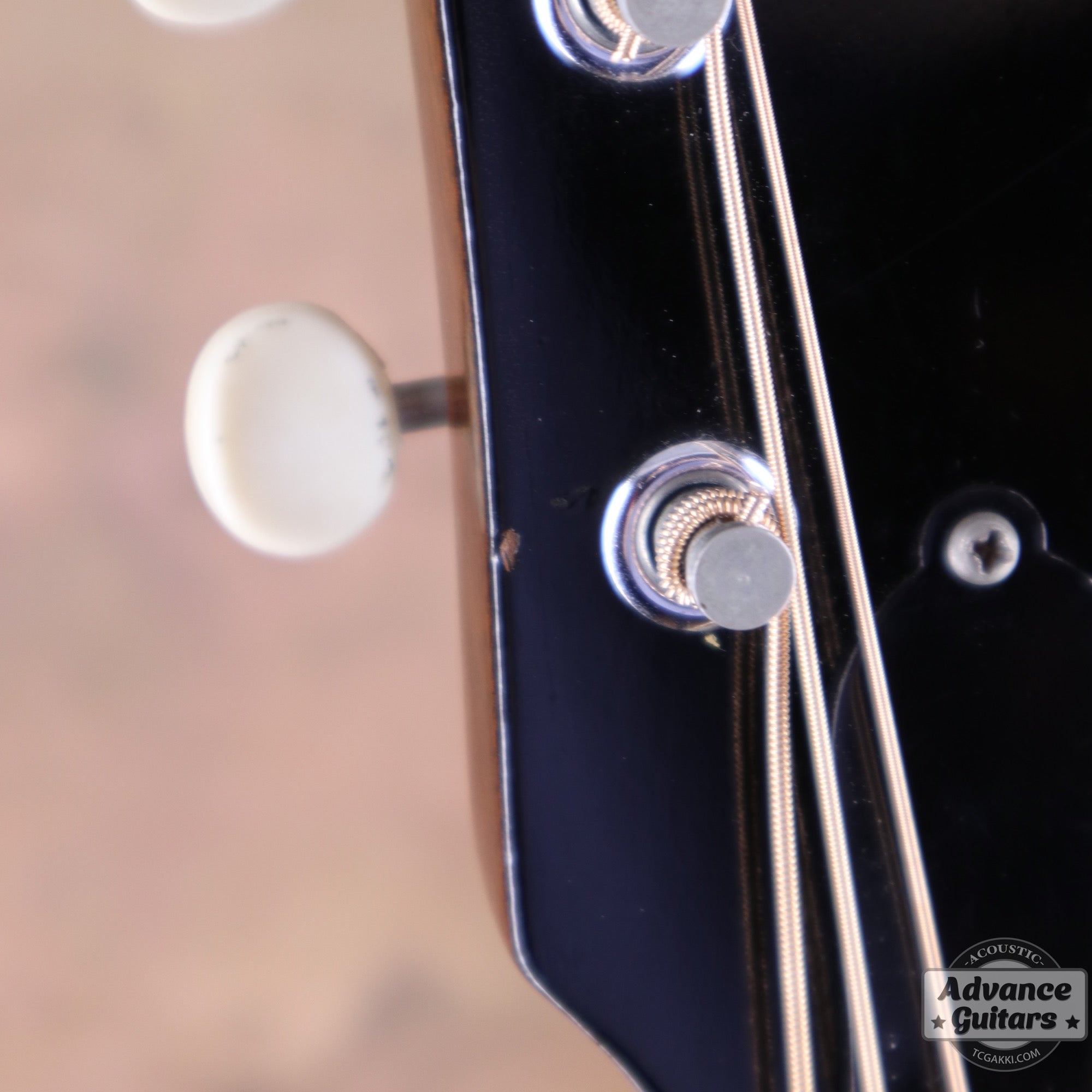 Gibson 1965年製 B-25