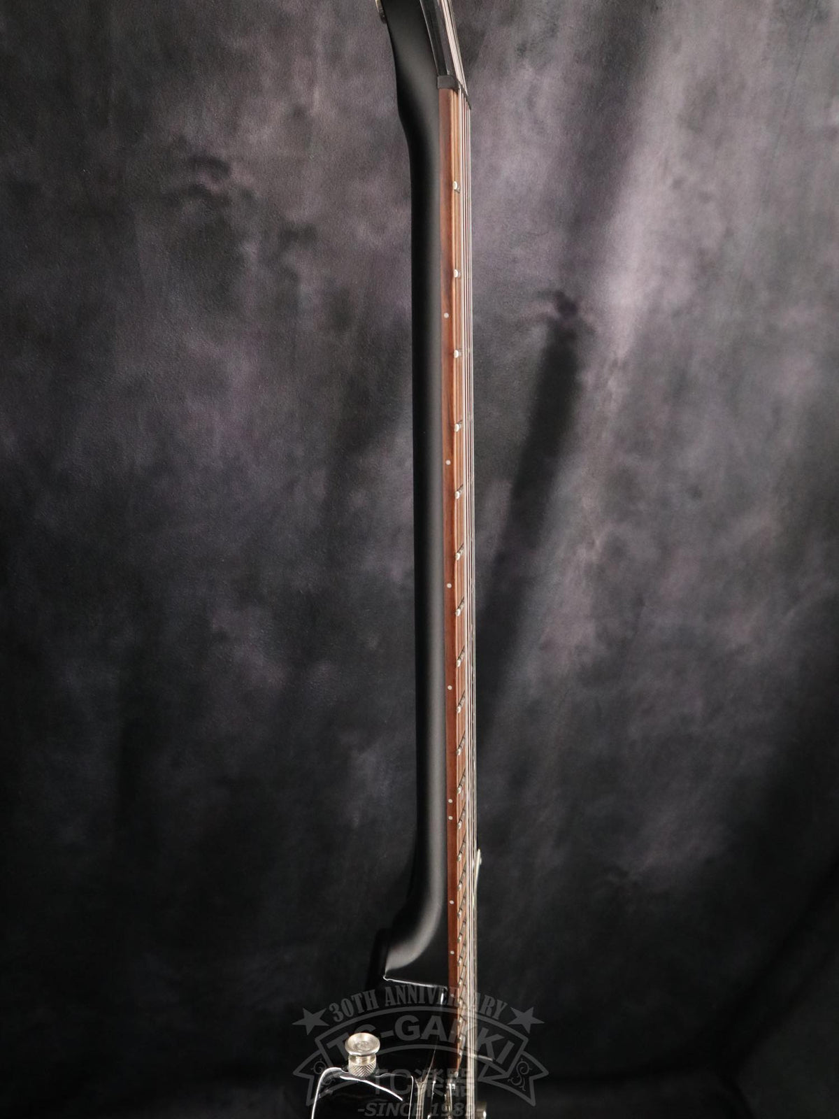 YAMAHA RSE20