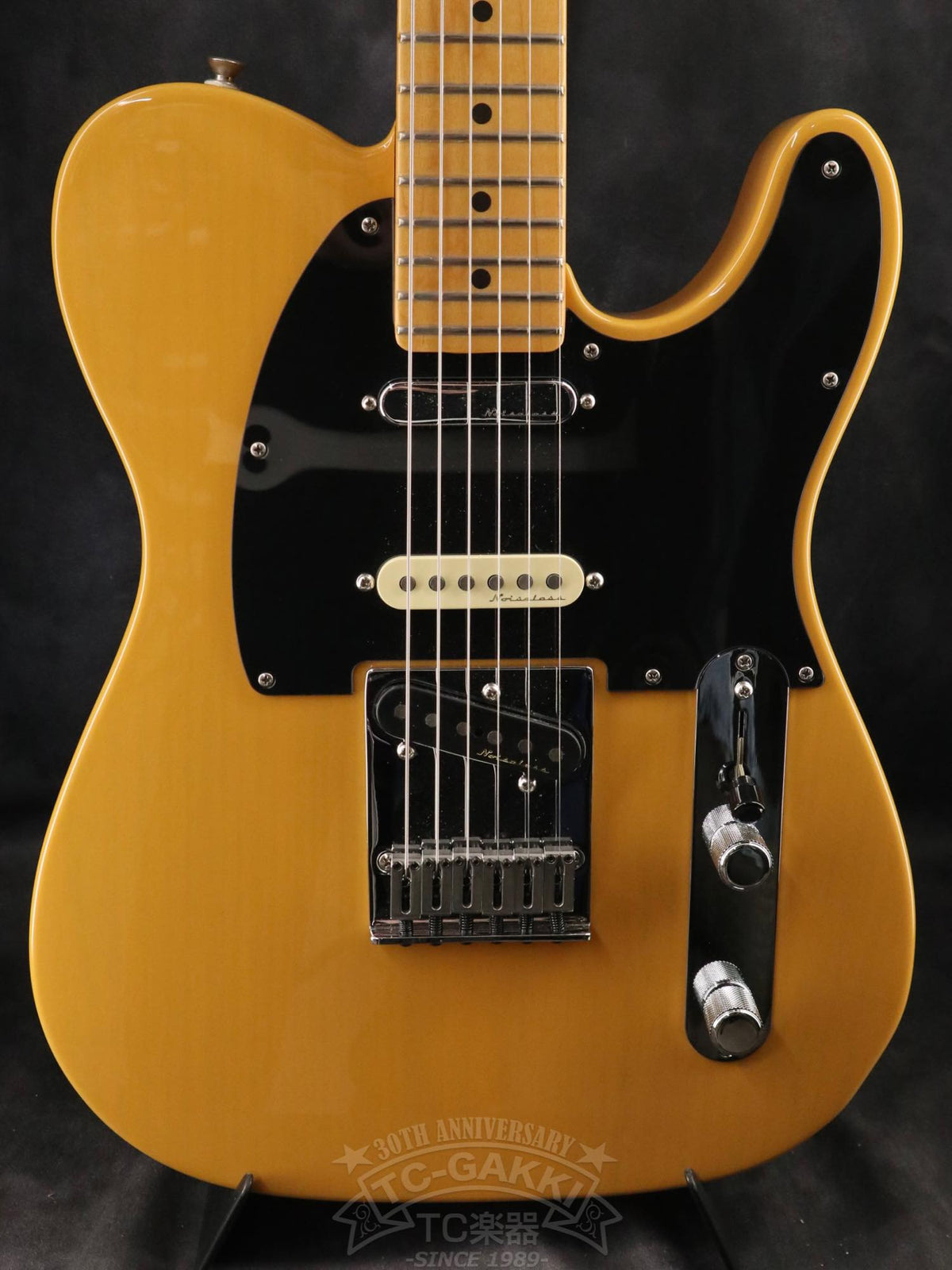 Fender Mexico Player Plus Nashville Telecaster