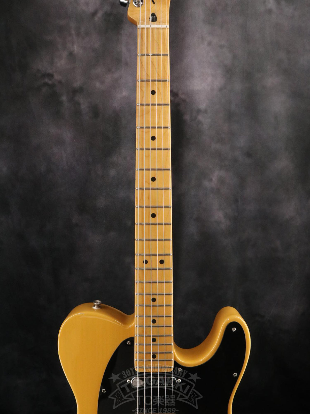 Fender Mexico Player Plus Nashville Telecaster