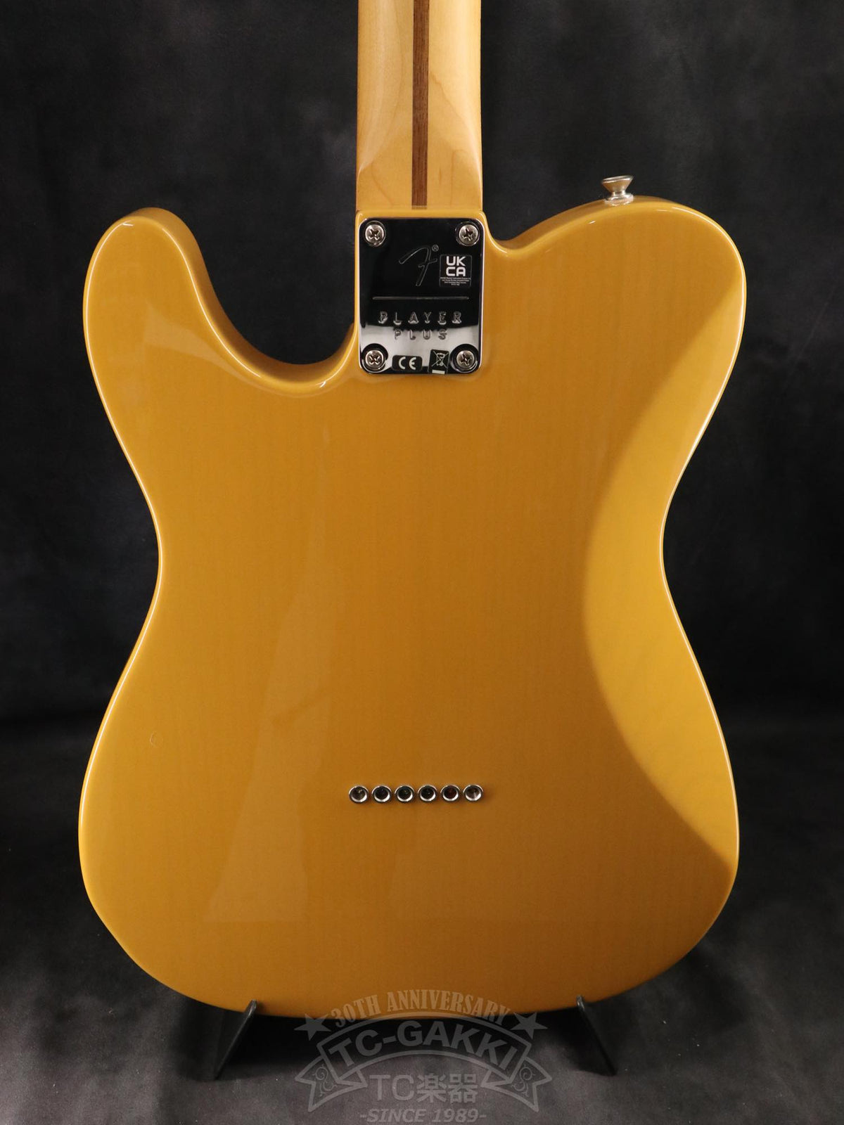 Fender Mexico Player Plus Nashville Telecaster