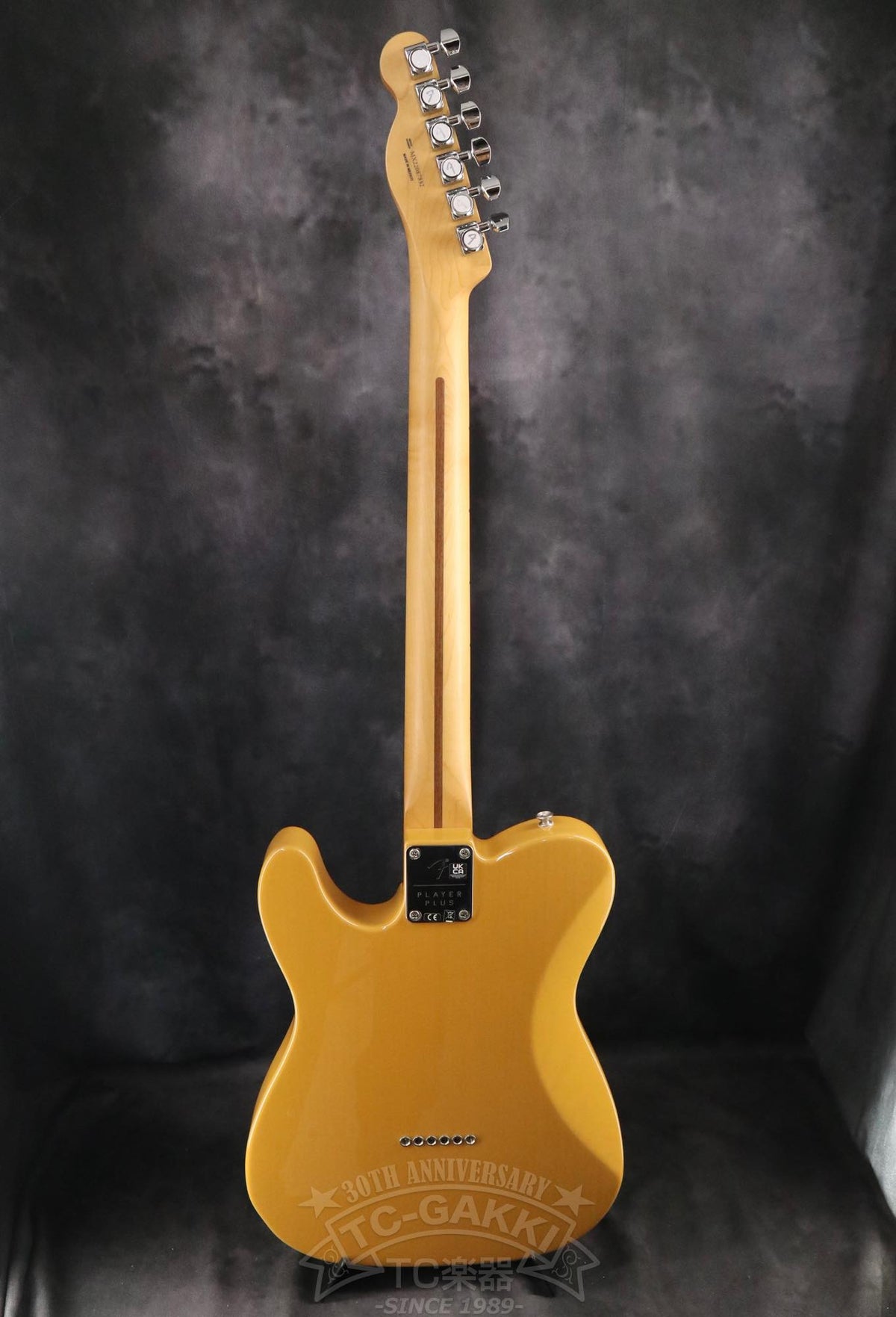 Fender Mexico Player Plus Nashville Telecaster
