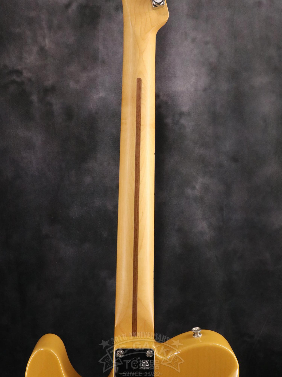 Fender Mexico Player Plus Nashville Telecaster