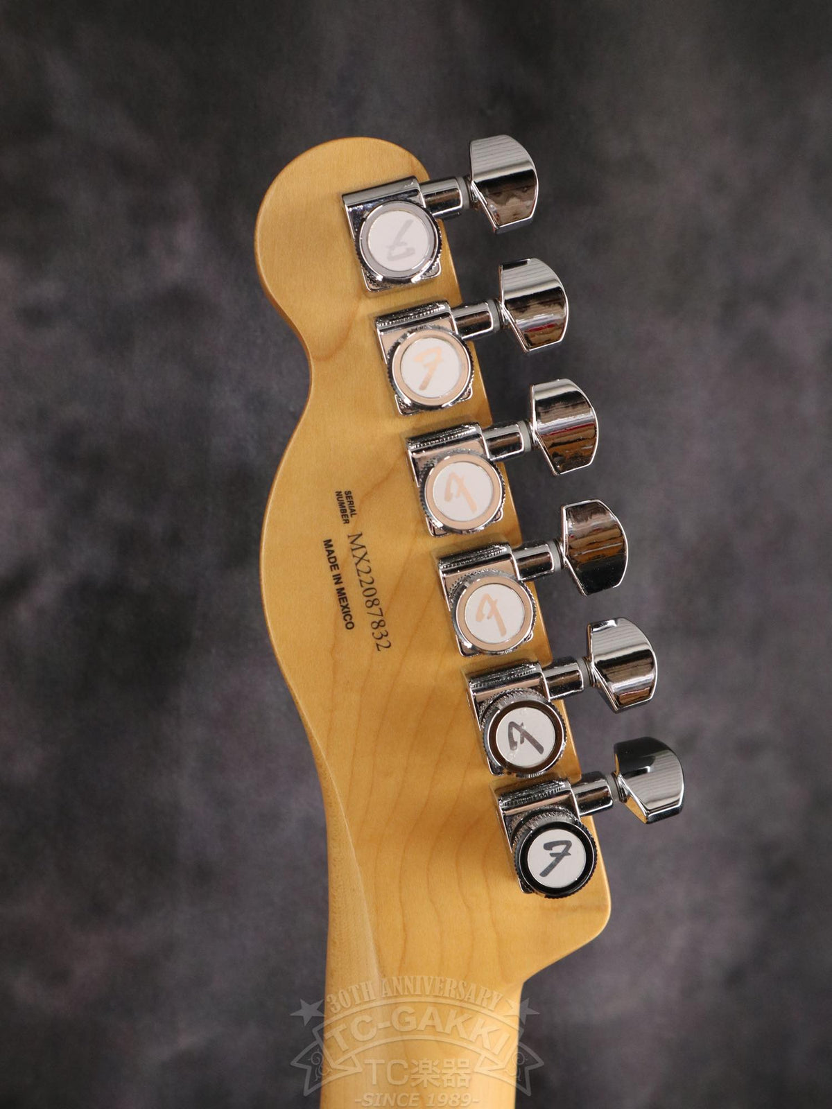 Fender Mexico Player Plus Nashville Telecaster