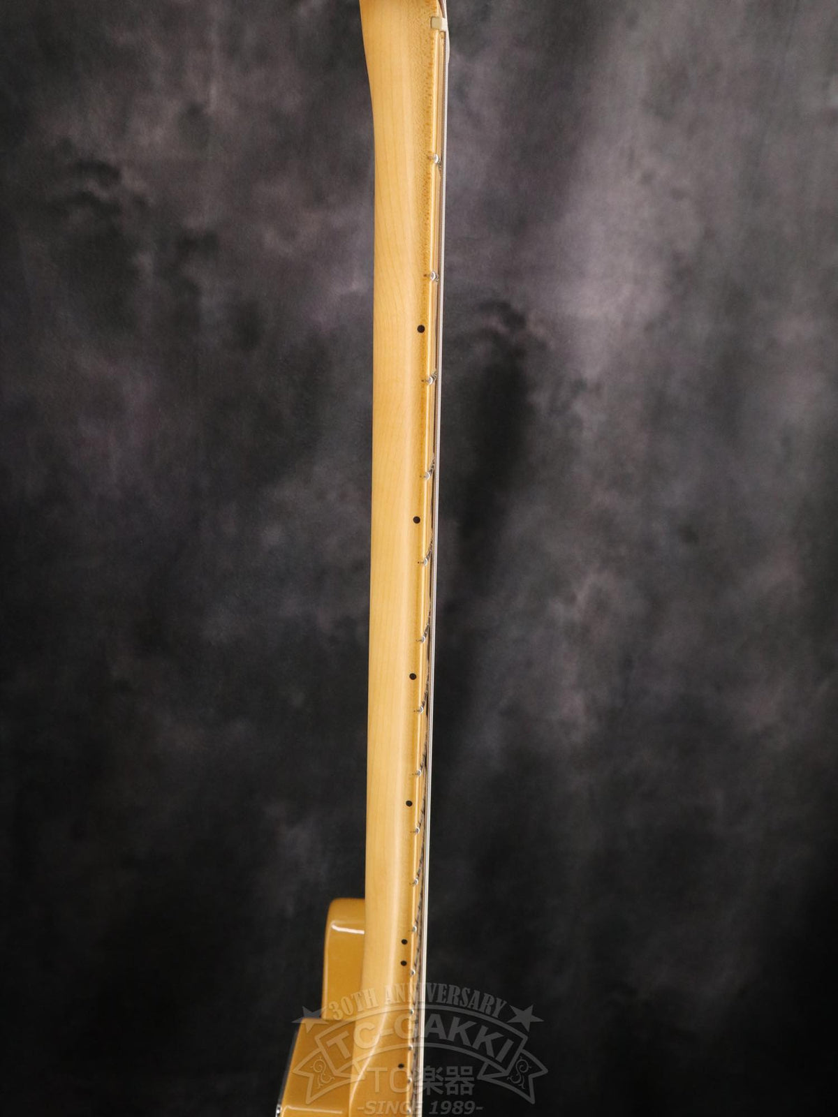Fender Mexico Player Plus Nashville Telecaster