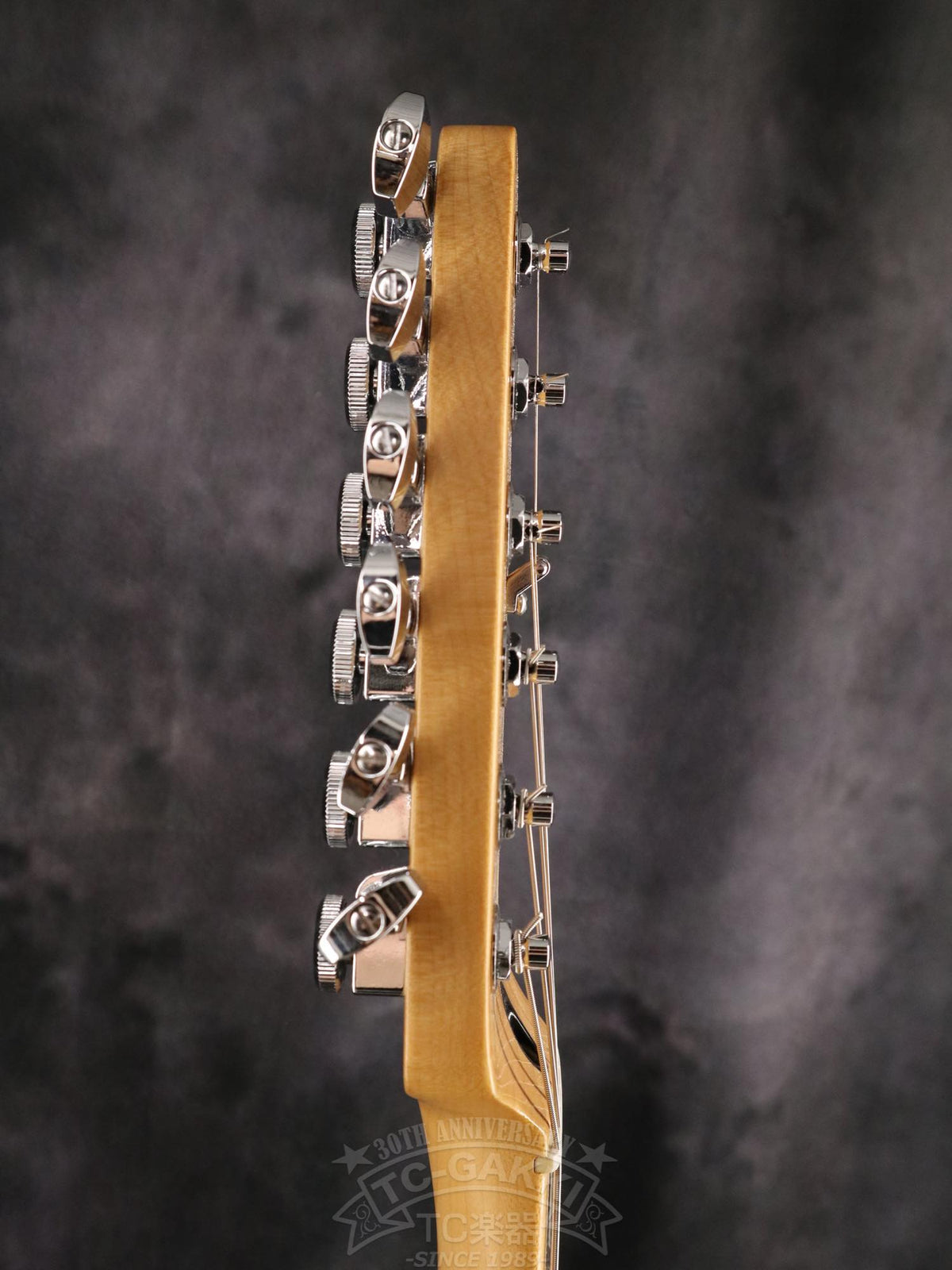 Fender Mexico Player Plus Nashville Telecaster