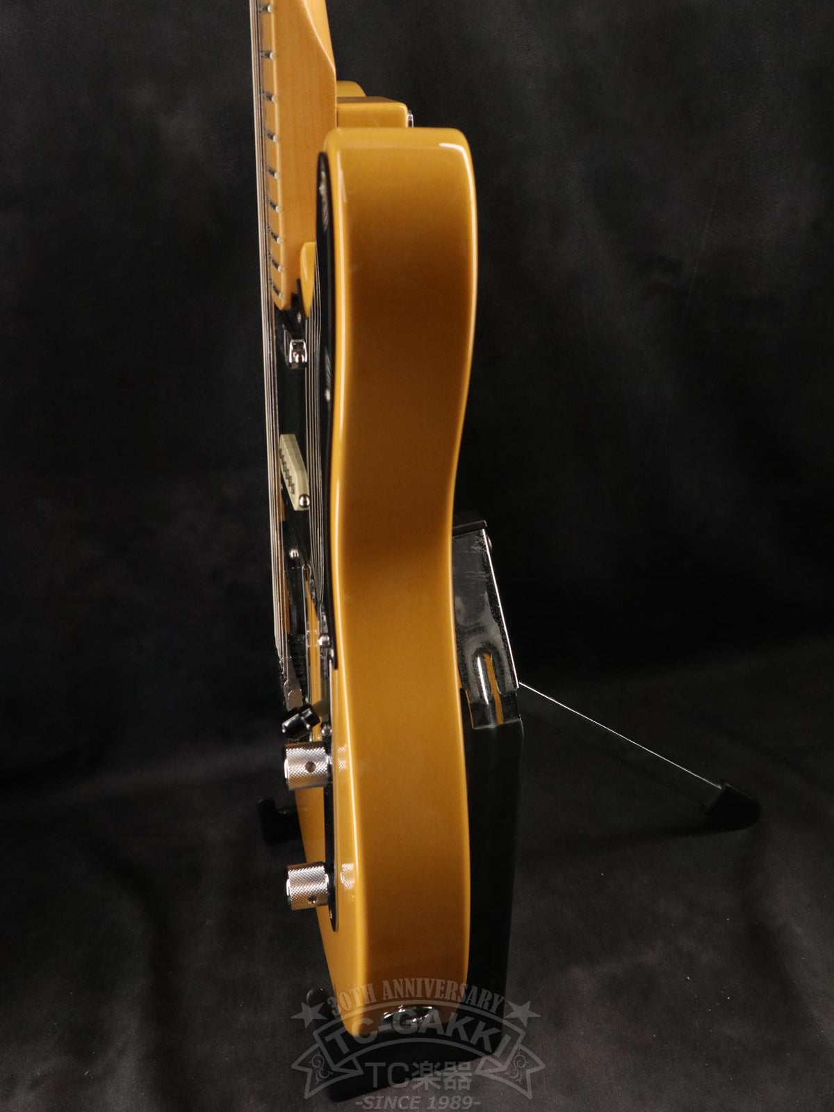 Fender Mexico Player Plus Nashville Telecaster