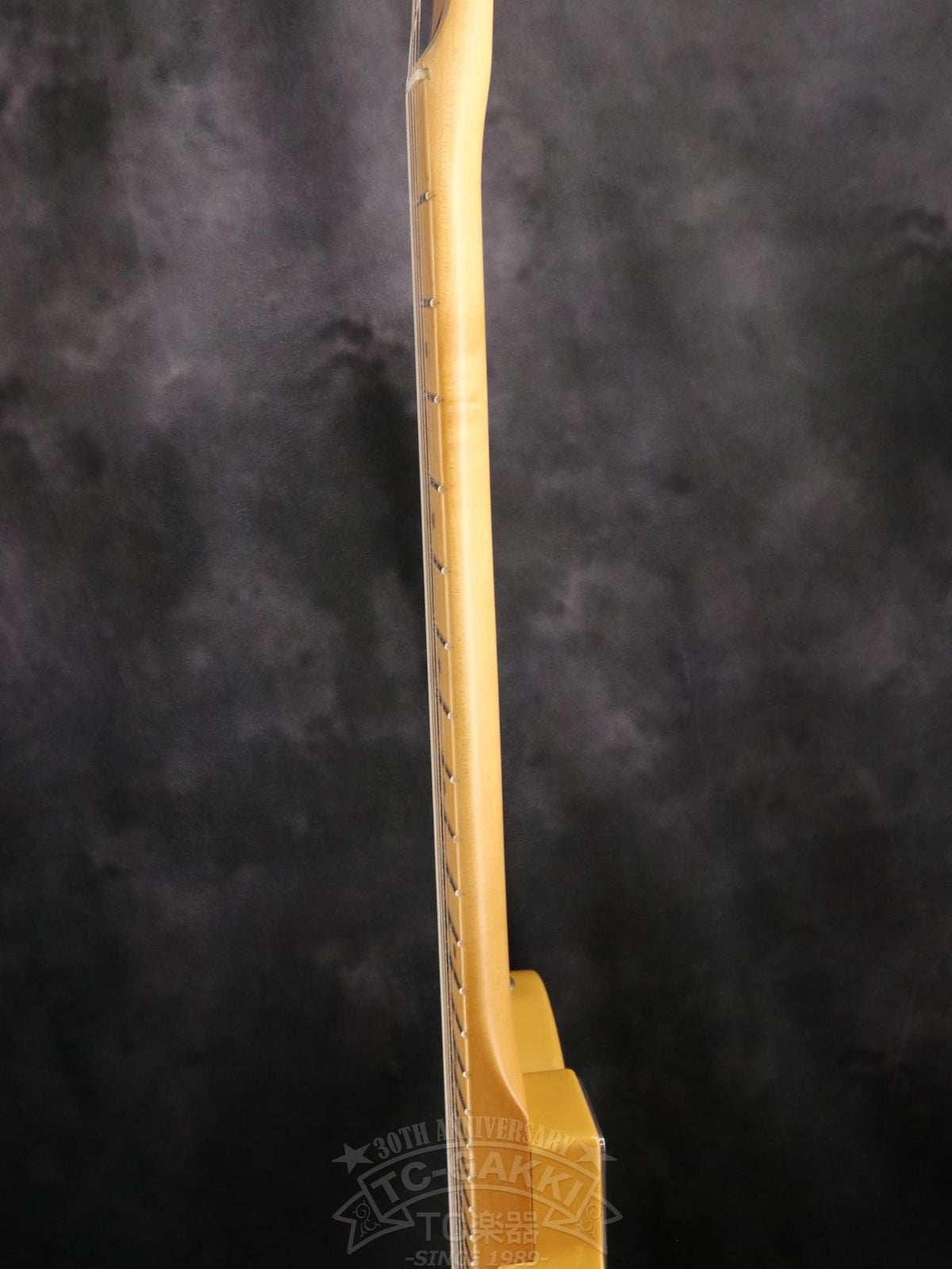 Fender Mexico Player Plus Nashville Telecaster