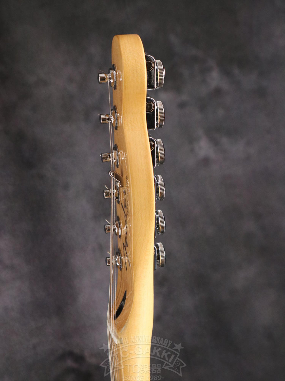 Fender Mexico Player Plus Nashville Telecaster