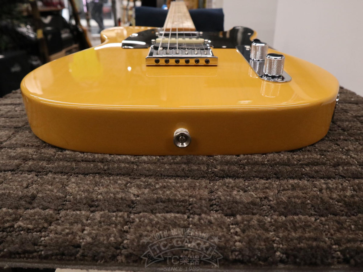 Fender Mexico Player Plus Nashville Telecaster