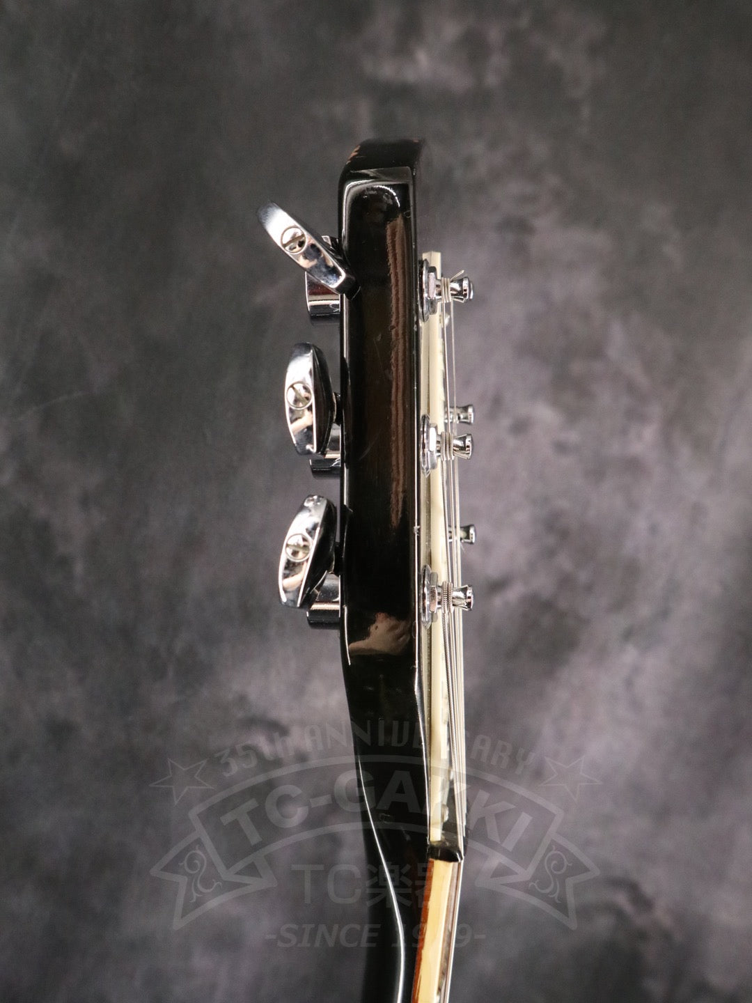 Rickenbacker 360