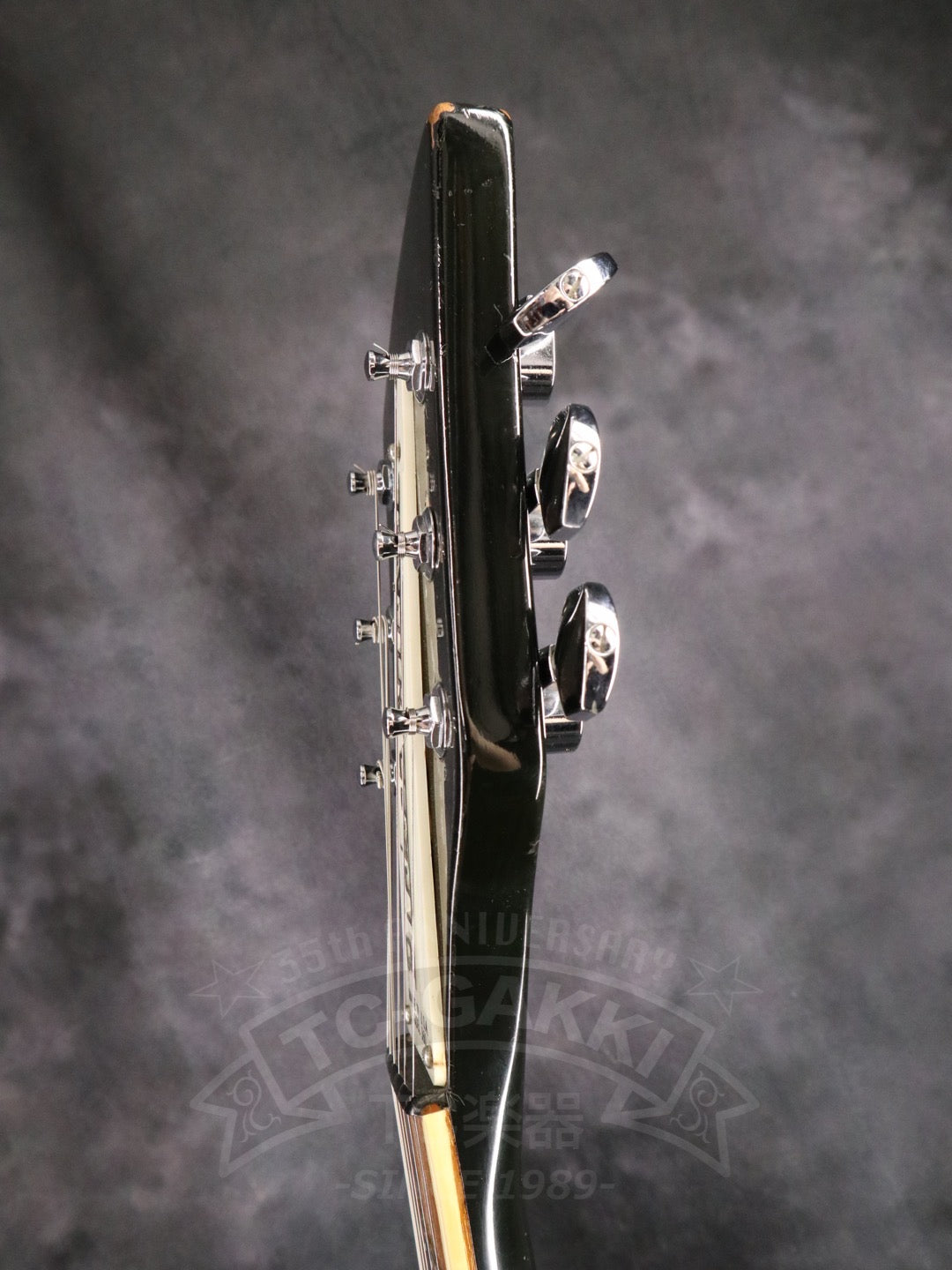 Rickenbacker 360