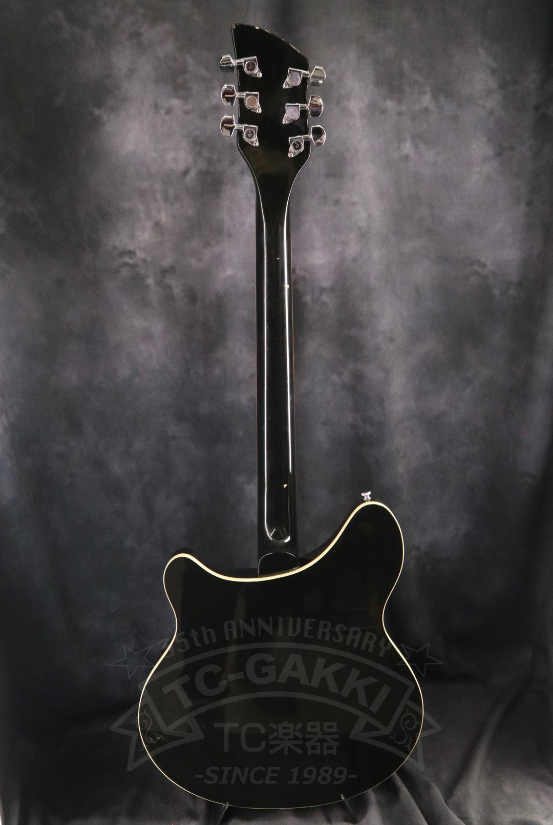 Rickenbacker 360