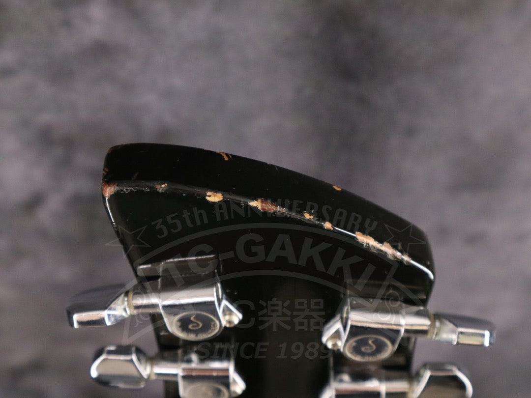 Rickenbacker 360