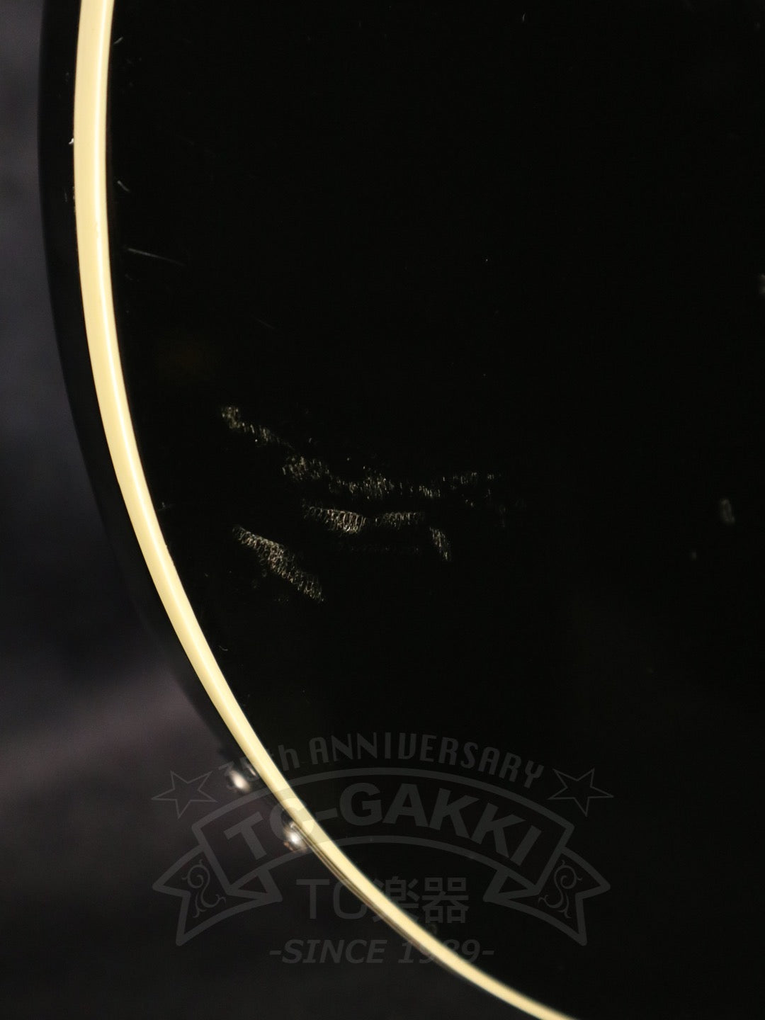 Rickenbacker 360