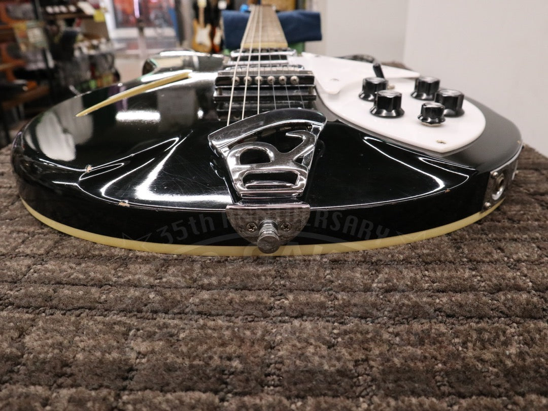 Rickenbacker 360