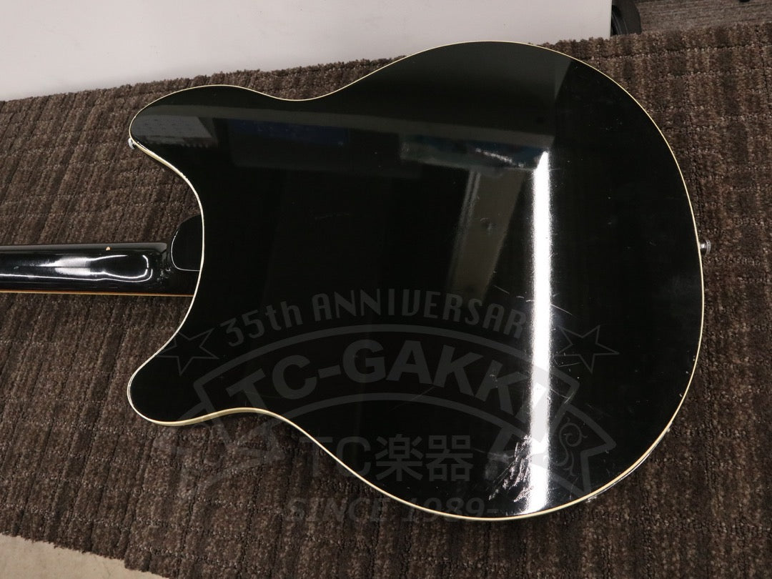 Rickenbacker 360