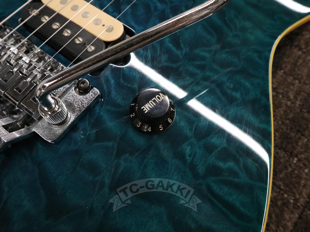 PEAVEY Wolfgang Special