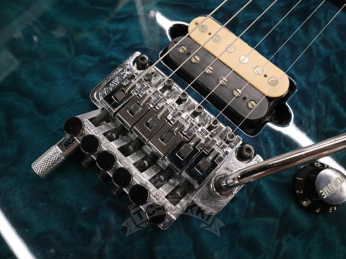 PEAVEY Wolfgang Special