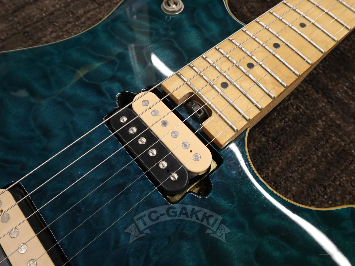 PEAVEY Wolfgang Special