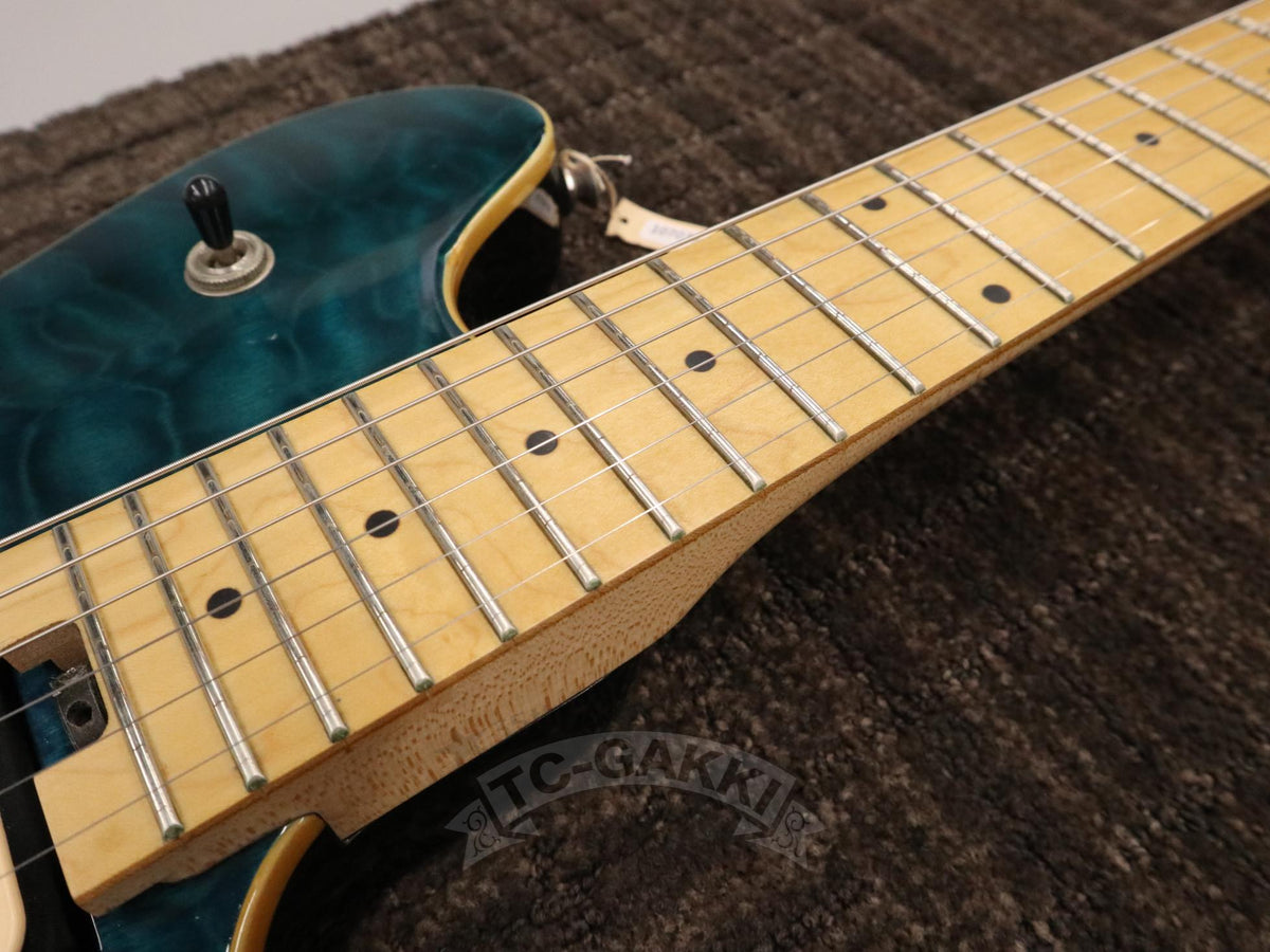 PEAVEY Wolfgang Special