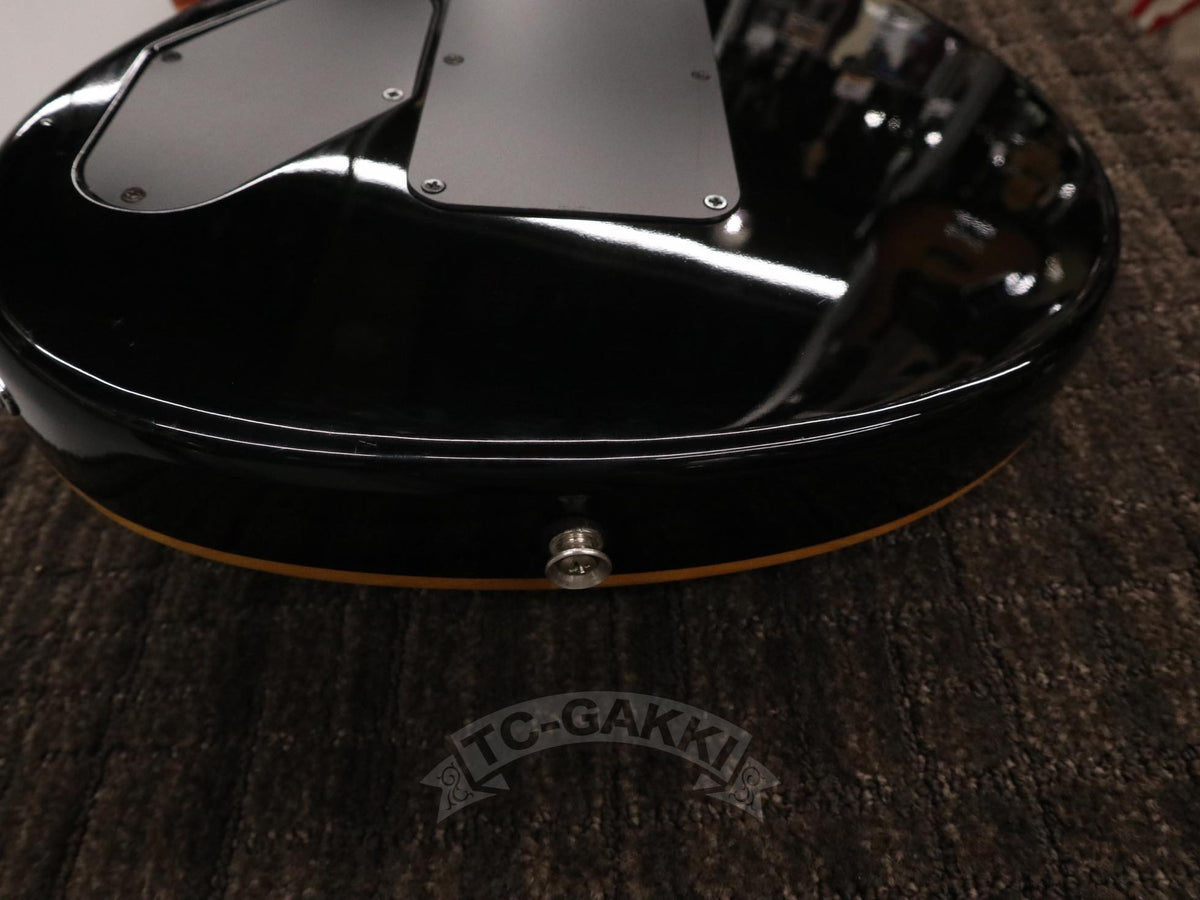 PEAVEY Wolfgang Special