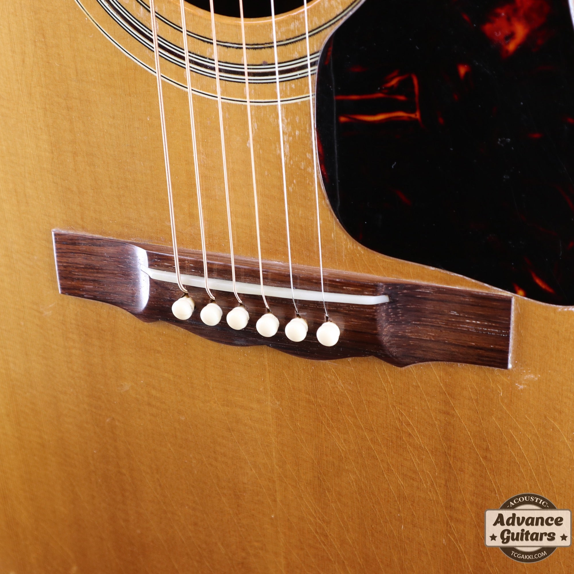 Guild 1967年製 F-50R Brazilian Rosewood