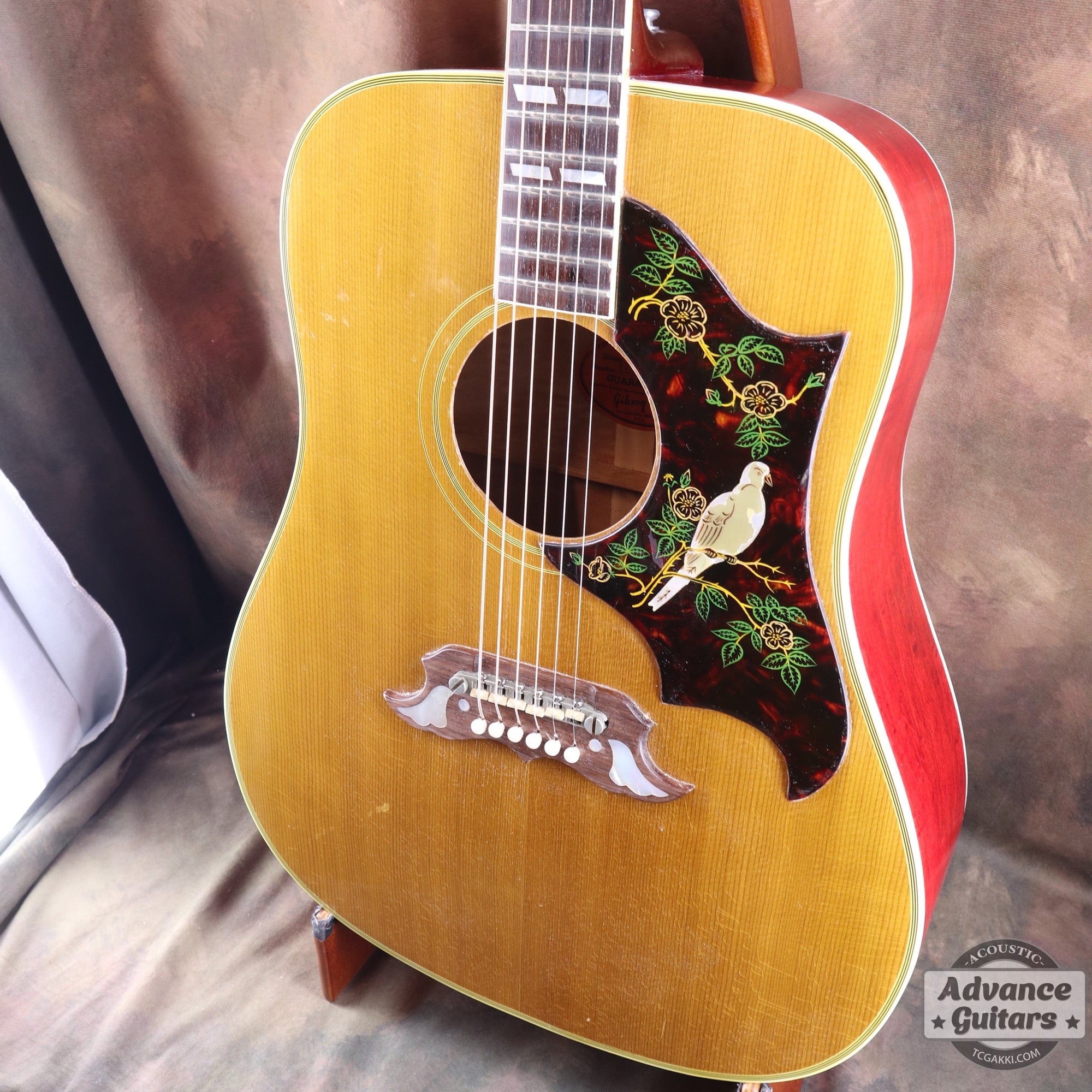 Gibson 1963年製 DOVE
