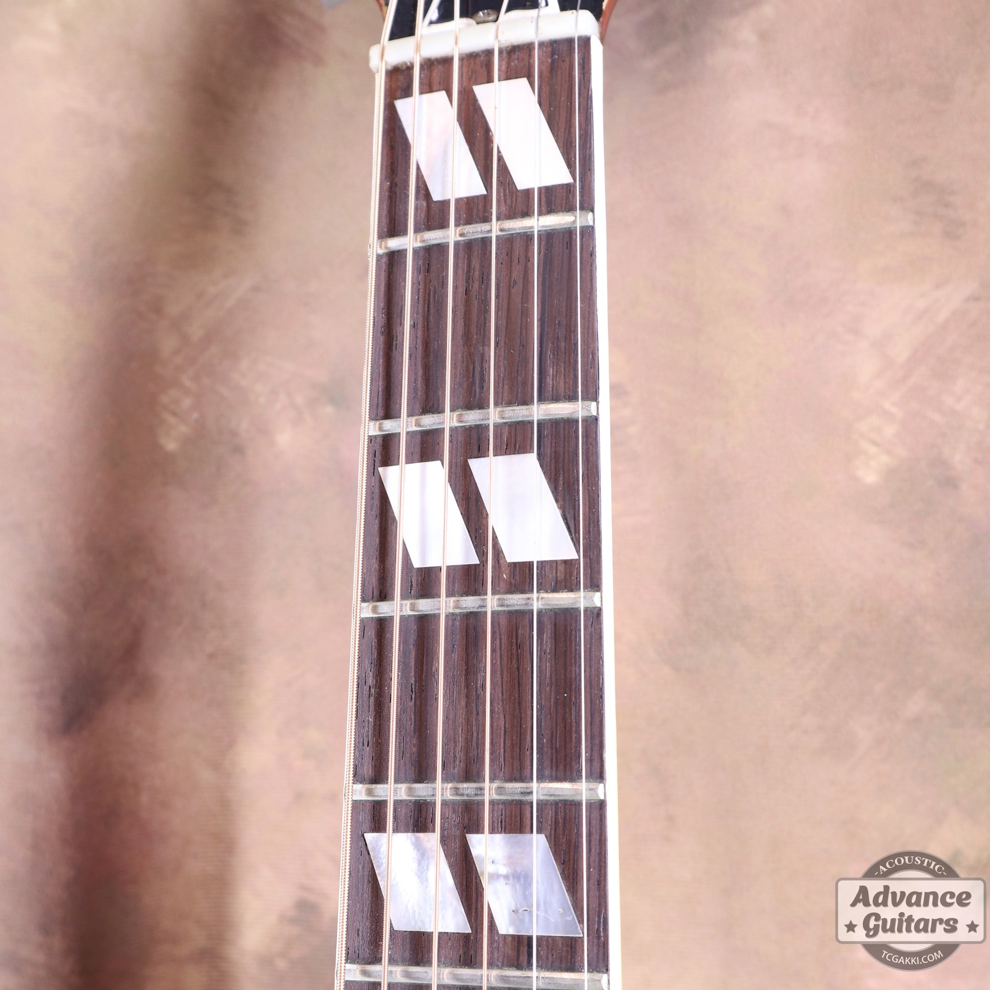 Gibson 1963年製 DOVE