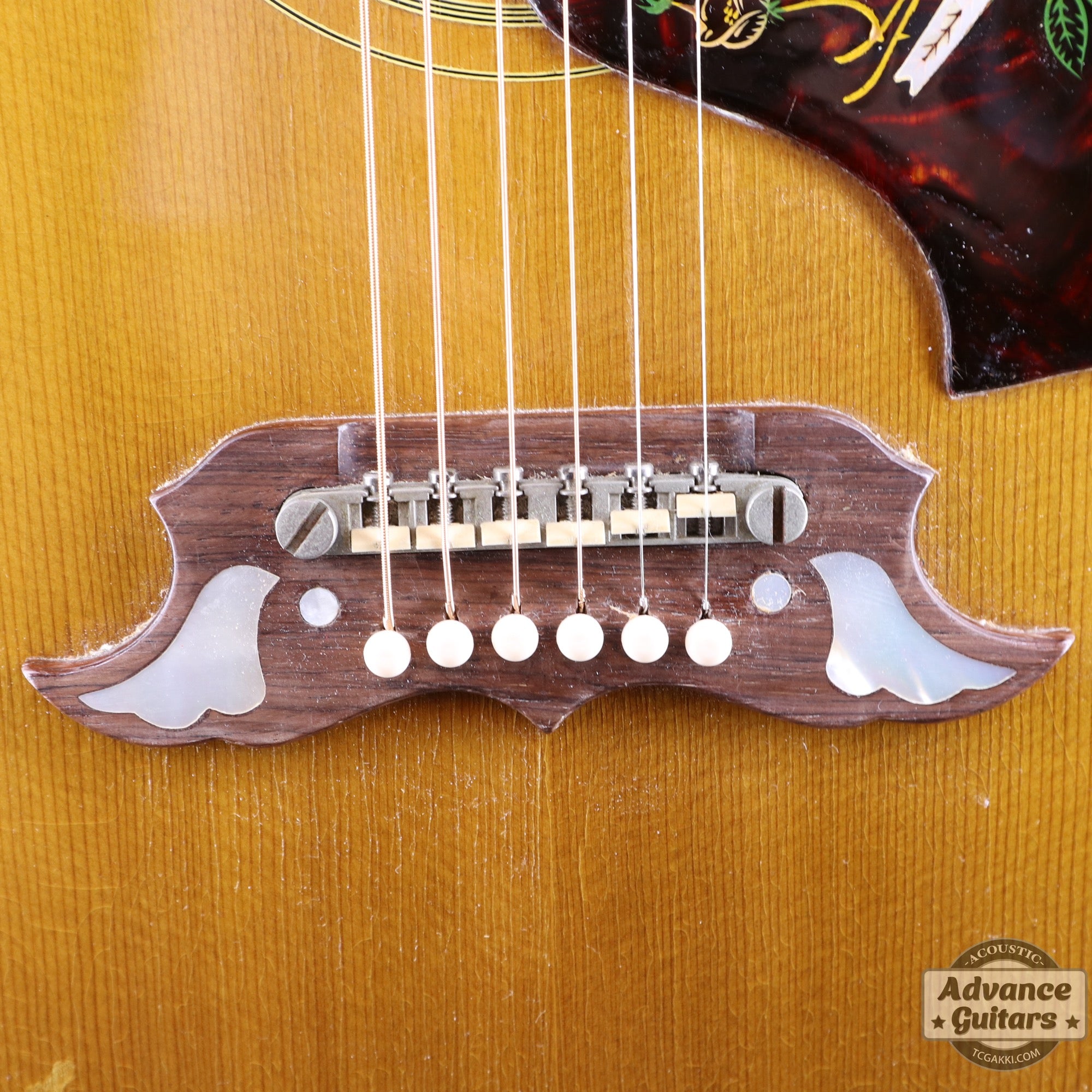 Gibson 1963年製 DOVE