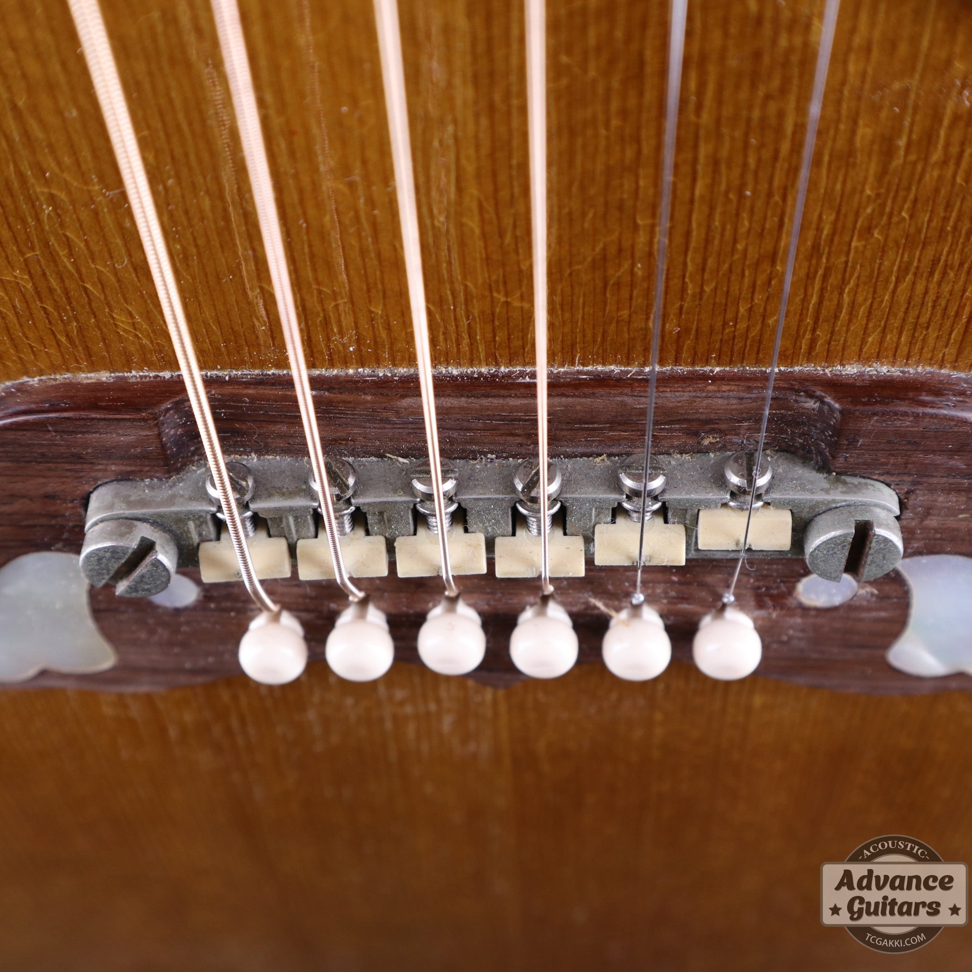 Gibson 1963年製 DOVE