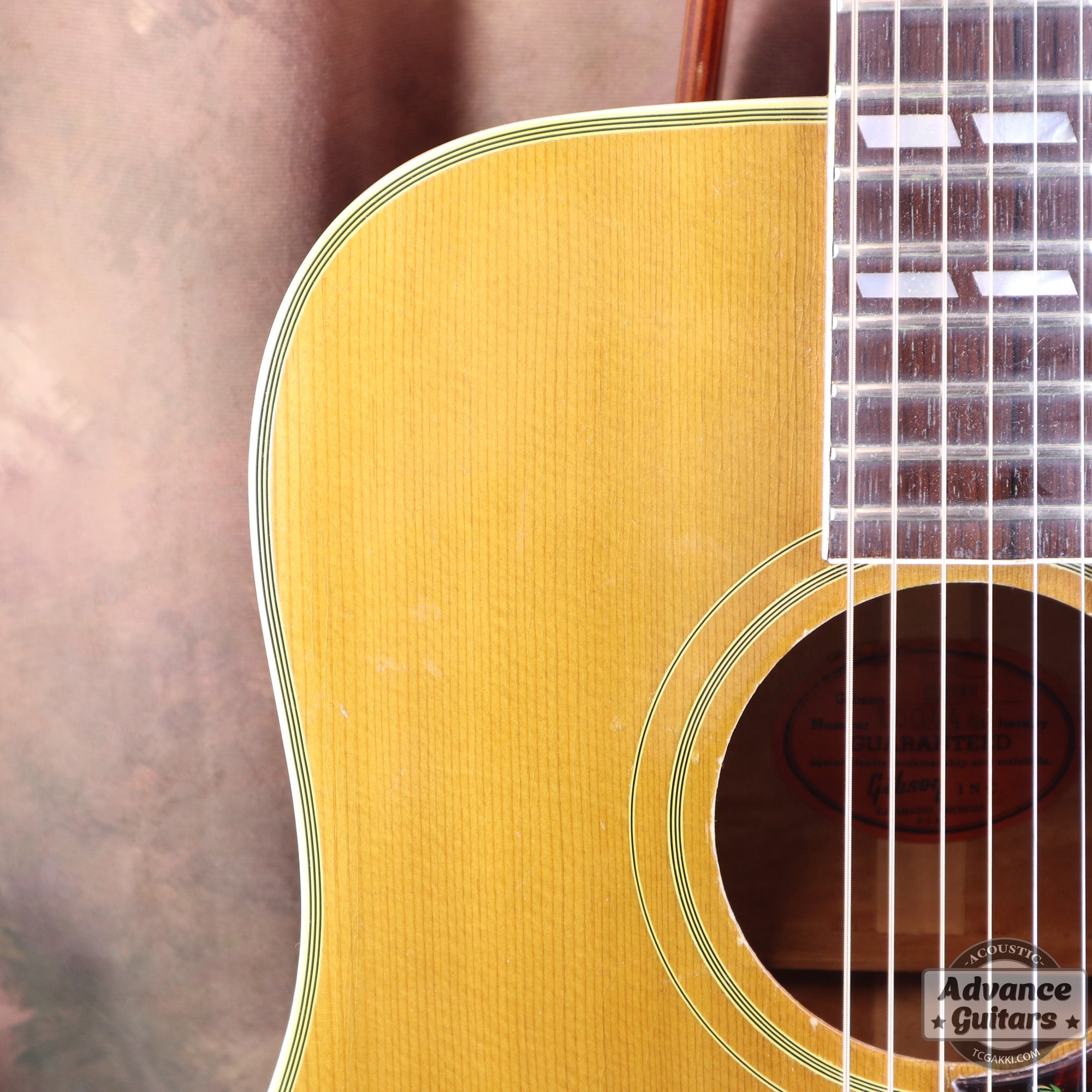Gibson 1963年製 DOVE