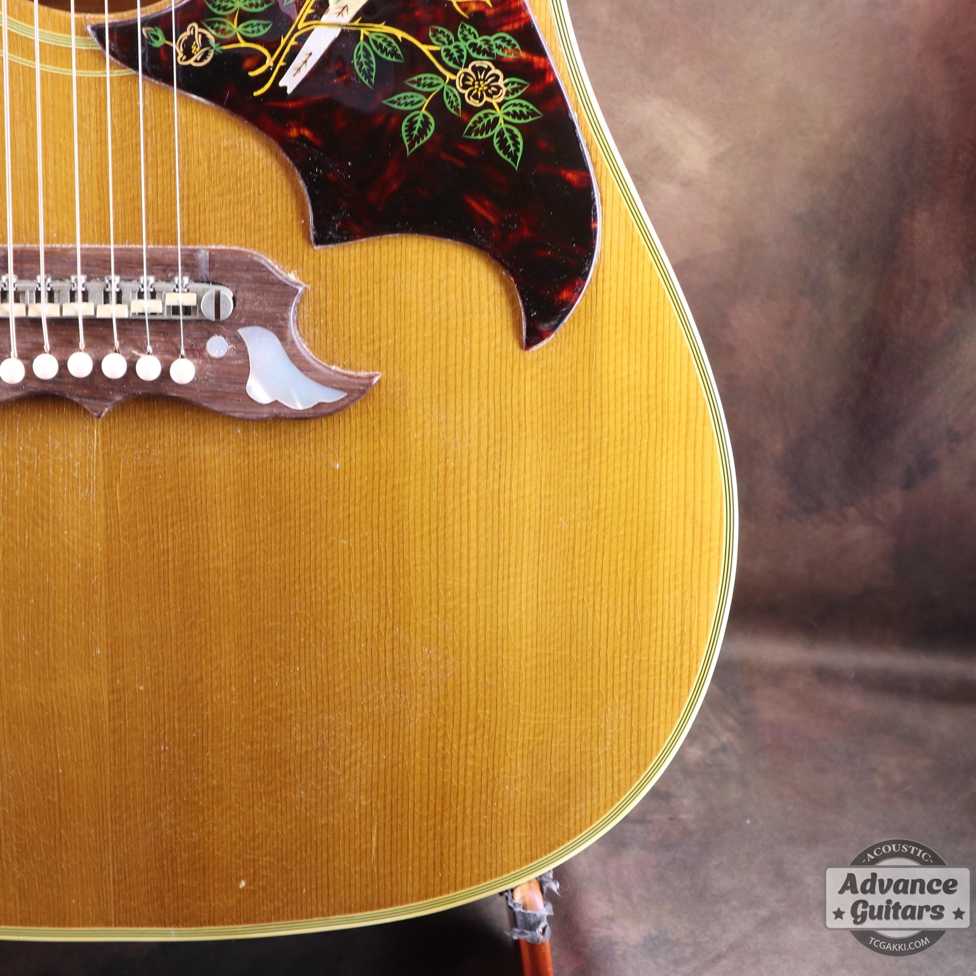 Gibson 1963年製 DOVE