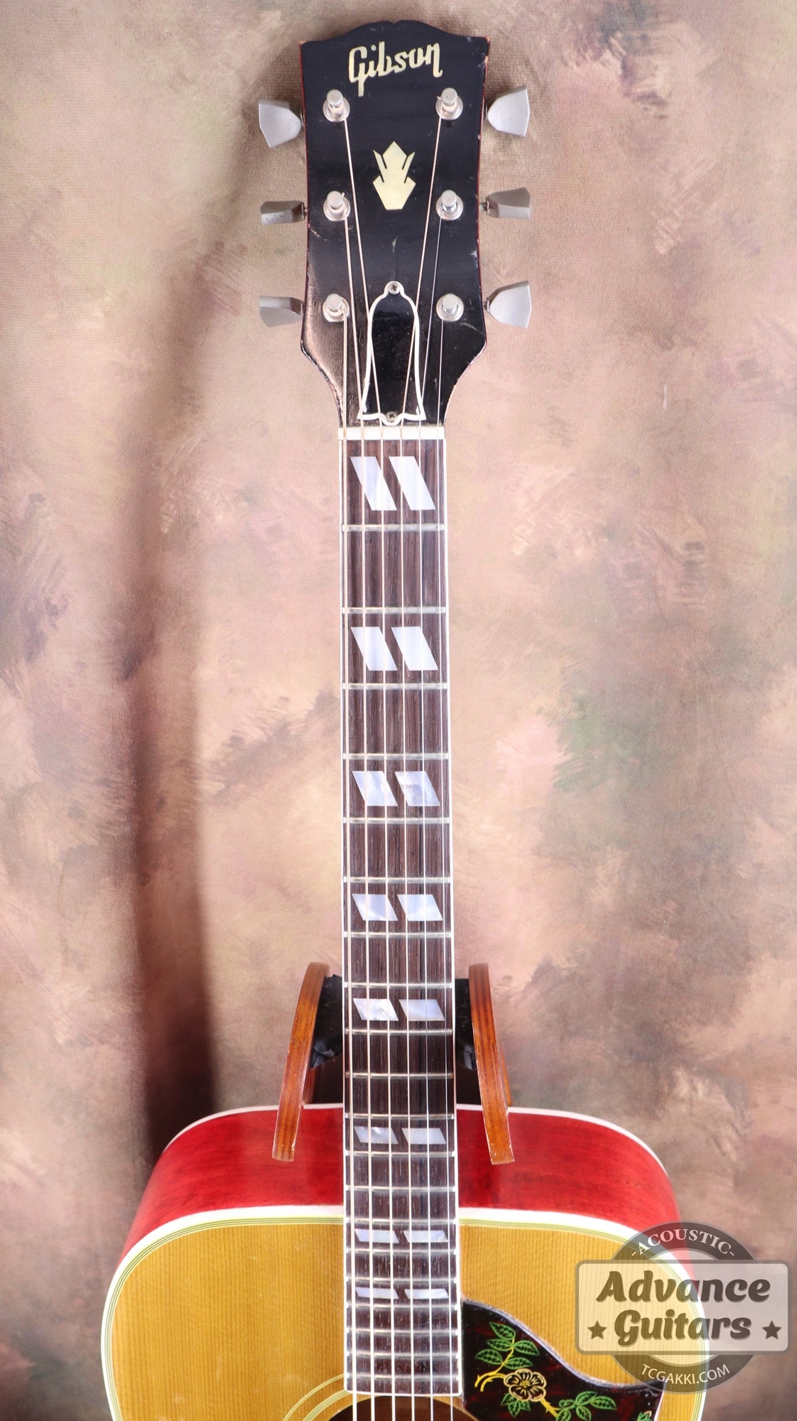 Gibson 1963年製 DOVE