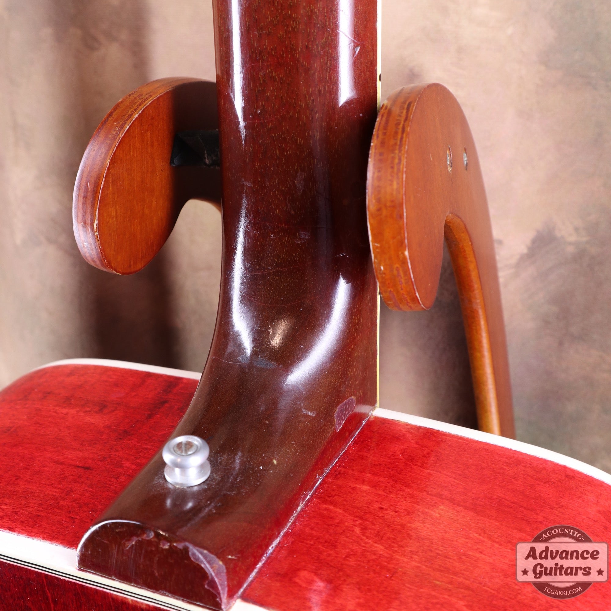 Gibson 1963年製 DOVE