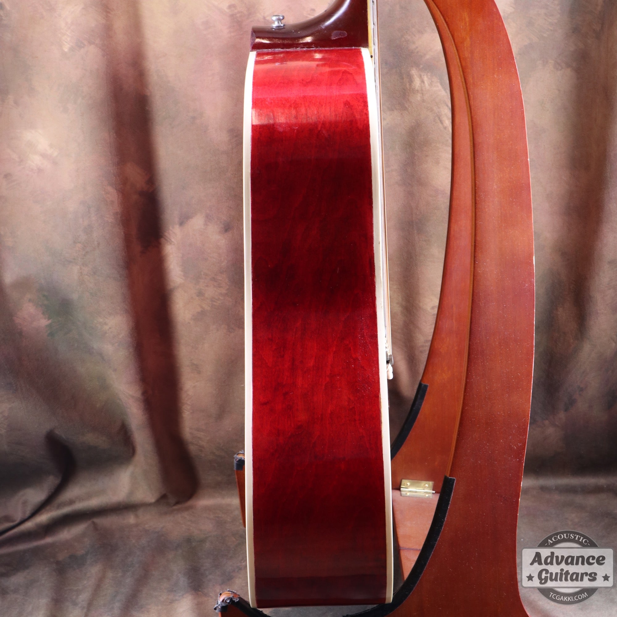 Gibson 1963年製 DOVE