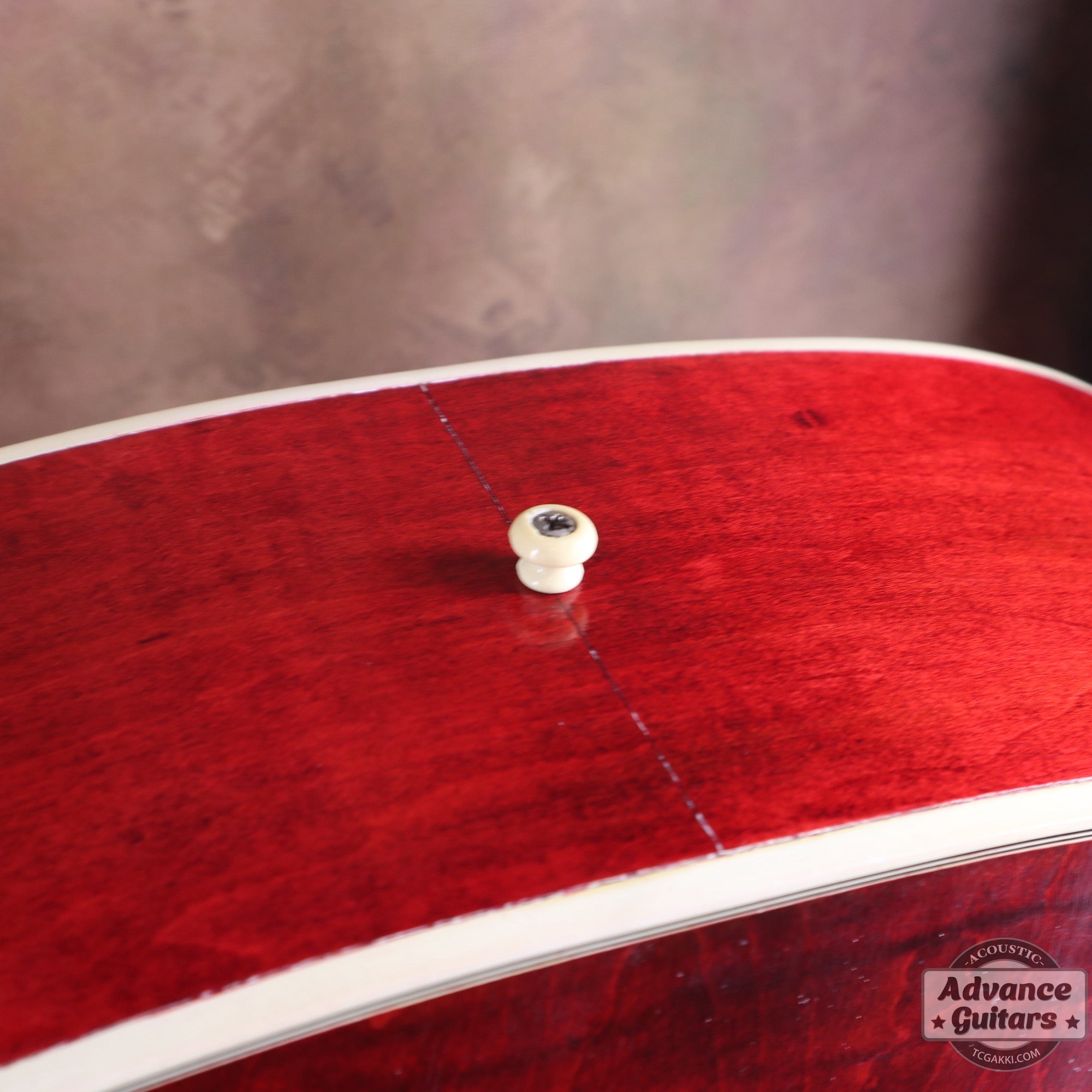 Gibson 1963年製 DOVE