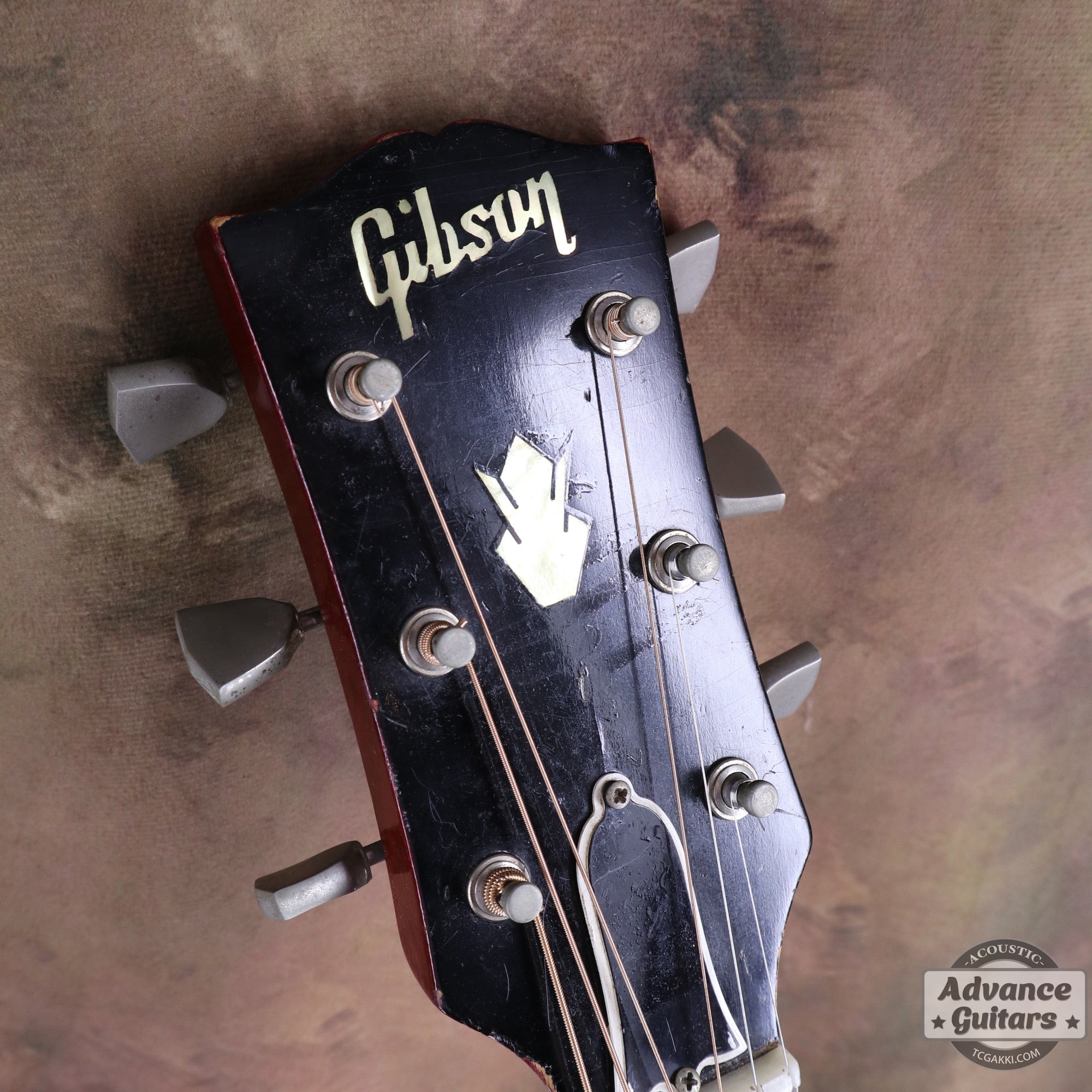 Gibson 1963年製 DOVE