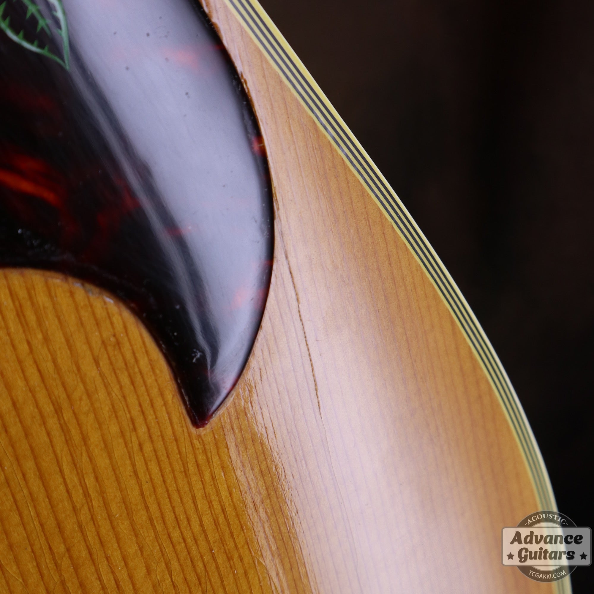 Gibson 1963年製 DOVE