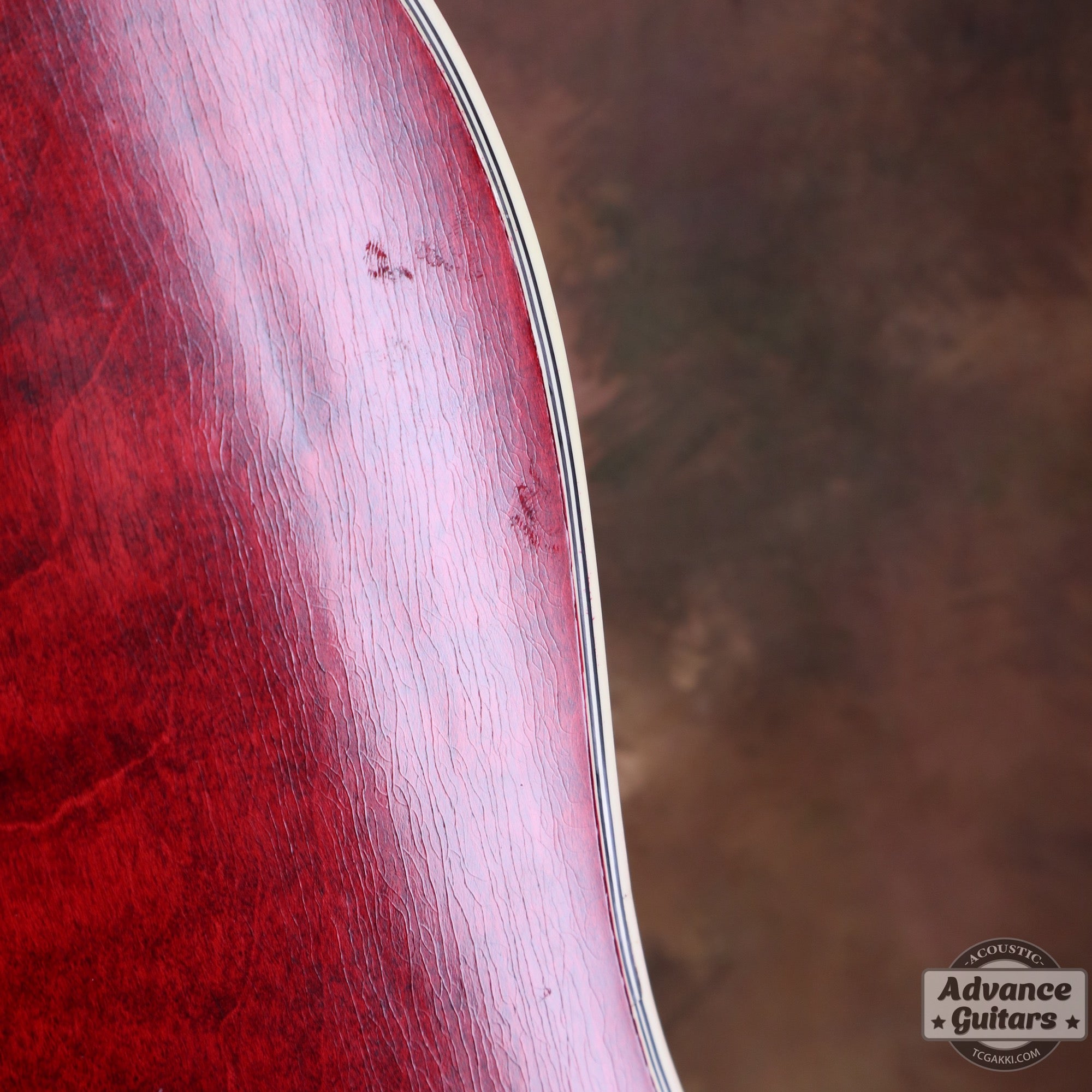 Gibson 1963年製 DOVE