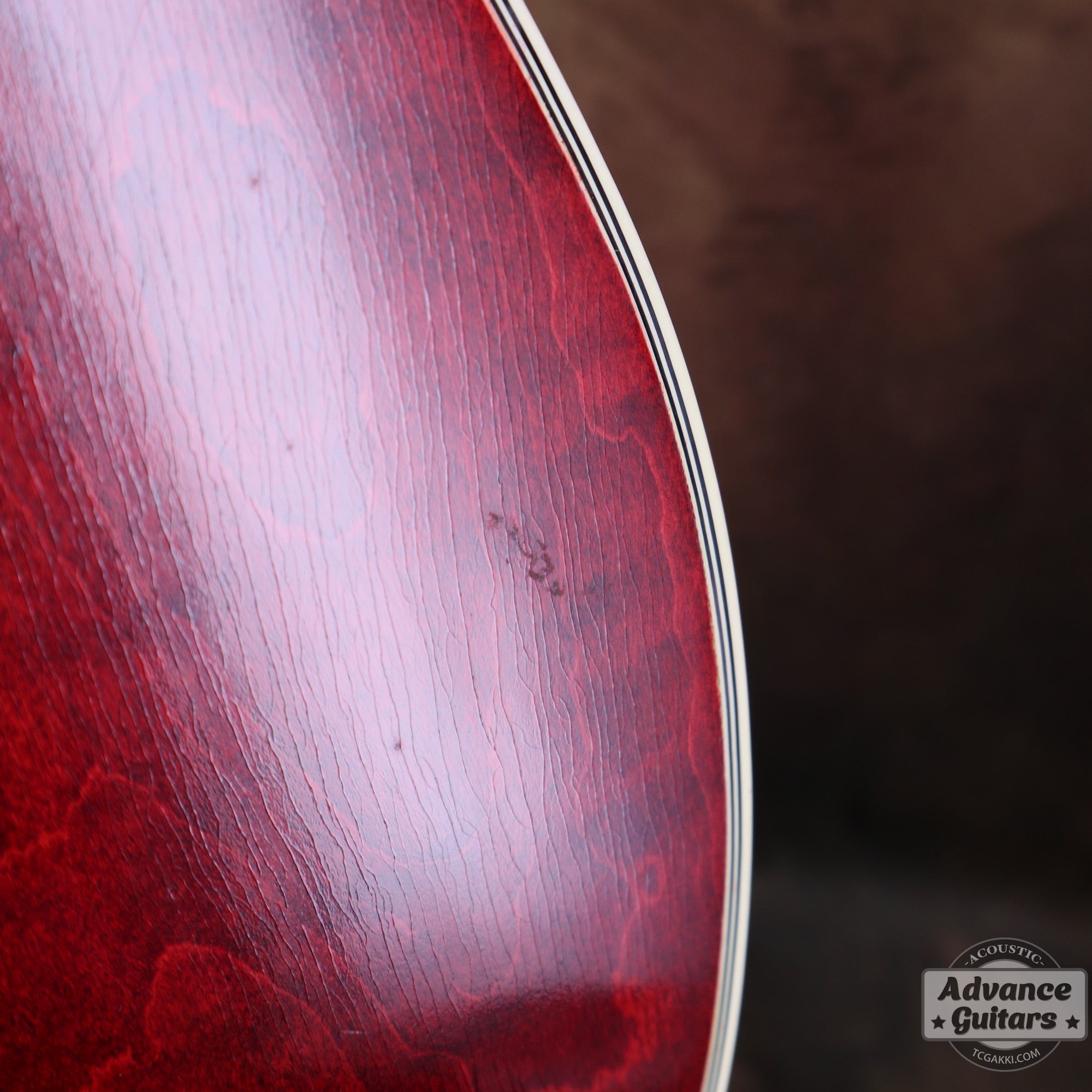 Gibson 1963年製 DOVE