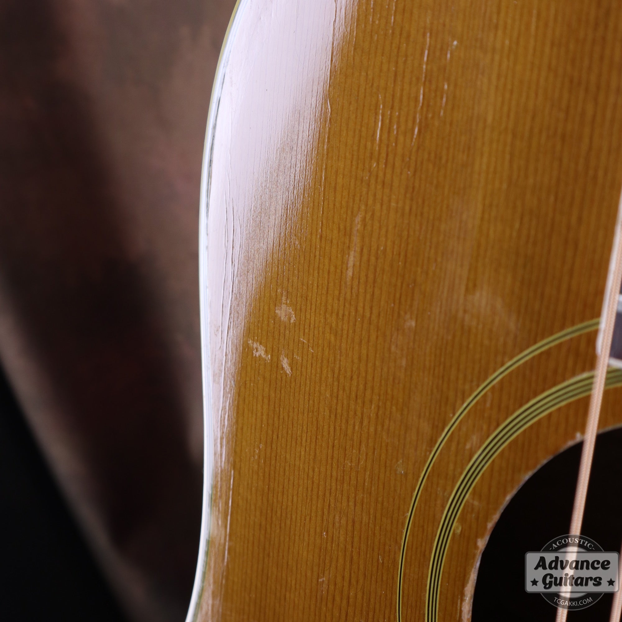 Gibson 1963年製 DOVE
