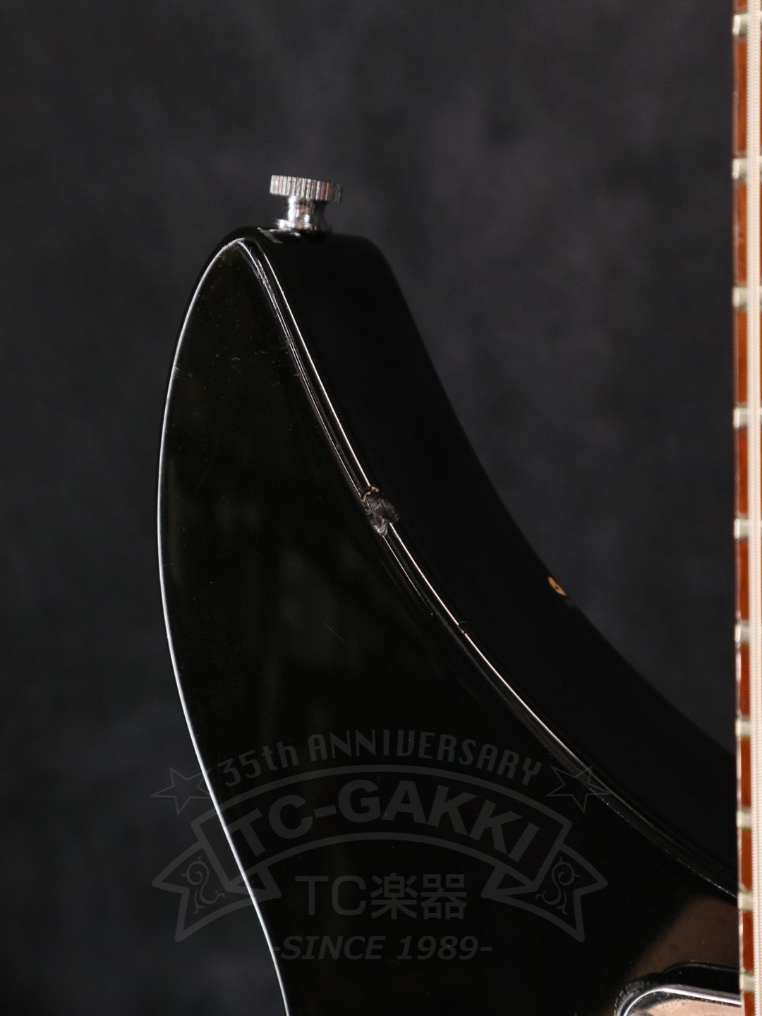 Rickenbacker 325v63