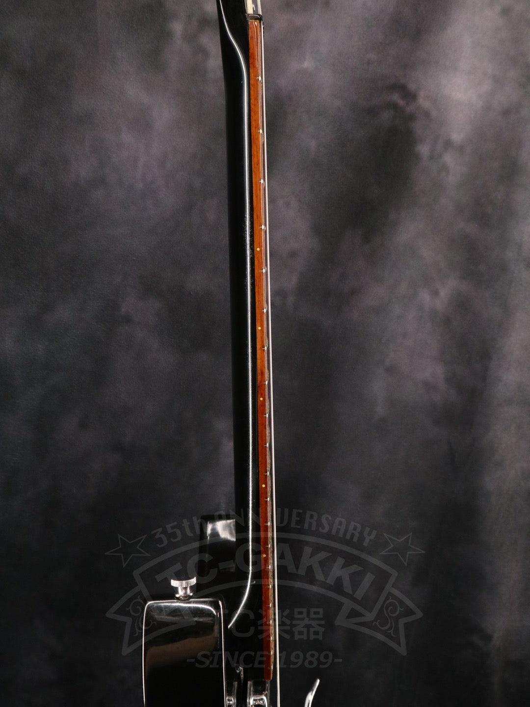 Rickenbacker 325v63