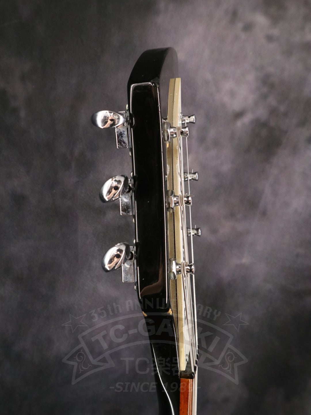 Rickenbacker 325v63