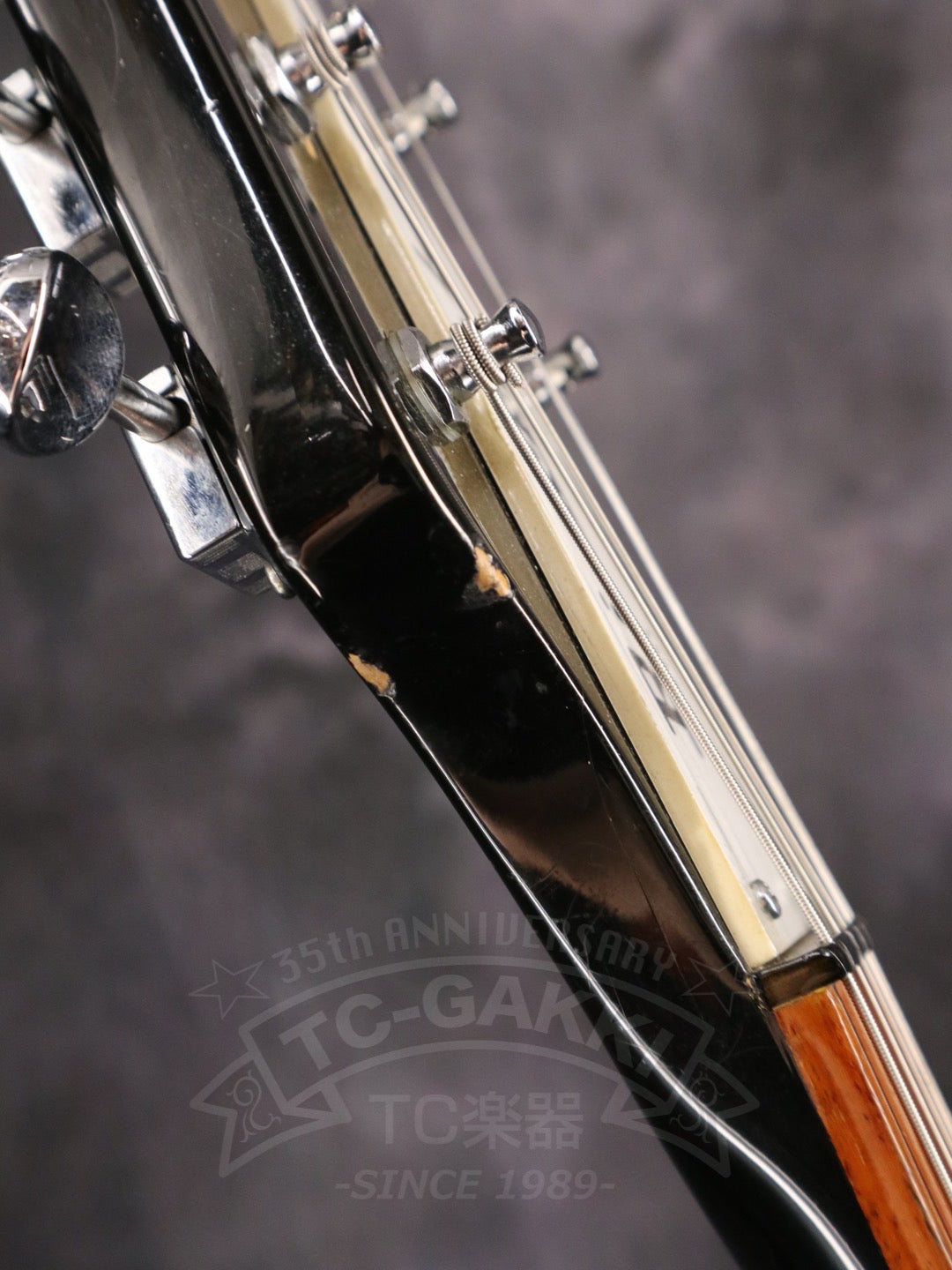 Rickenbacker 325v63