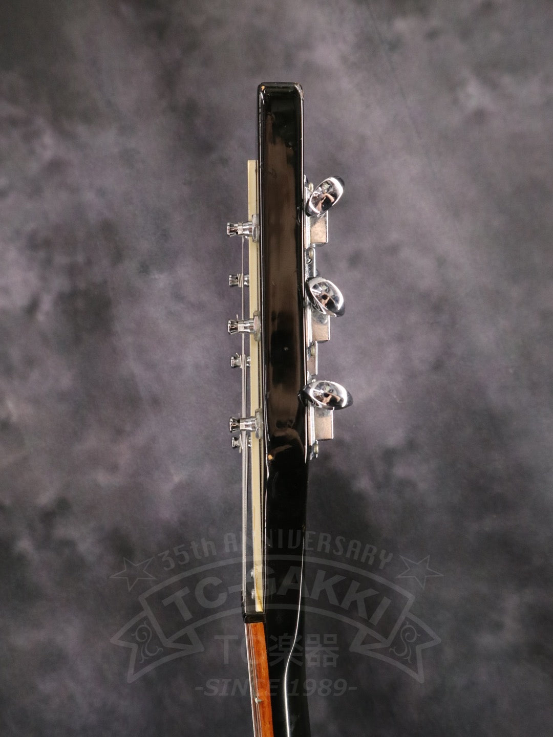 Rickenbacker 325v63